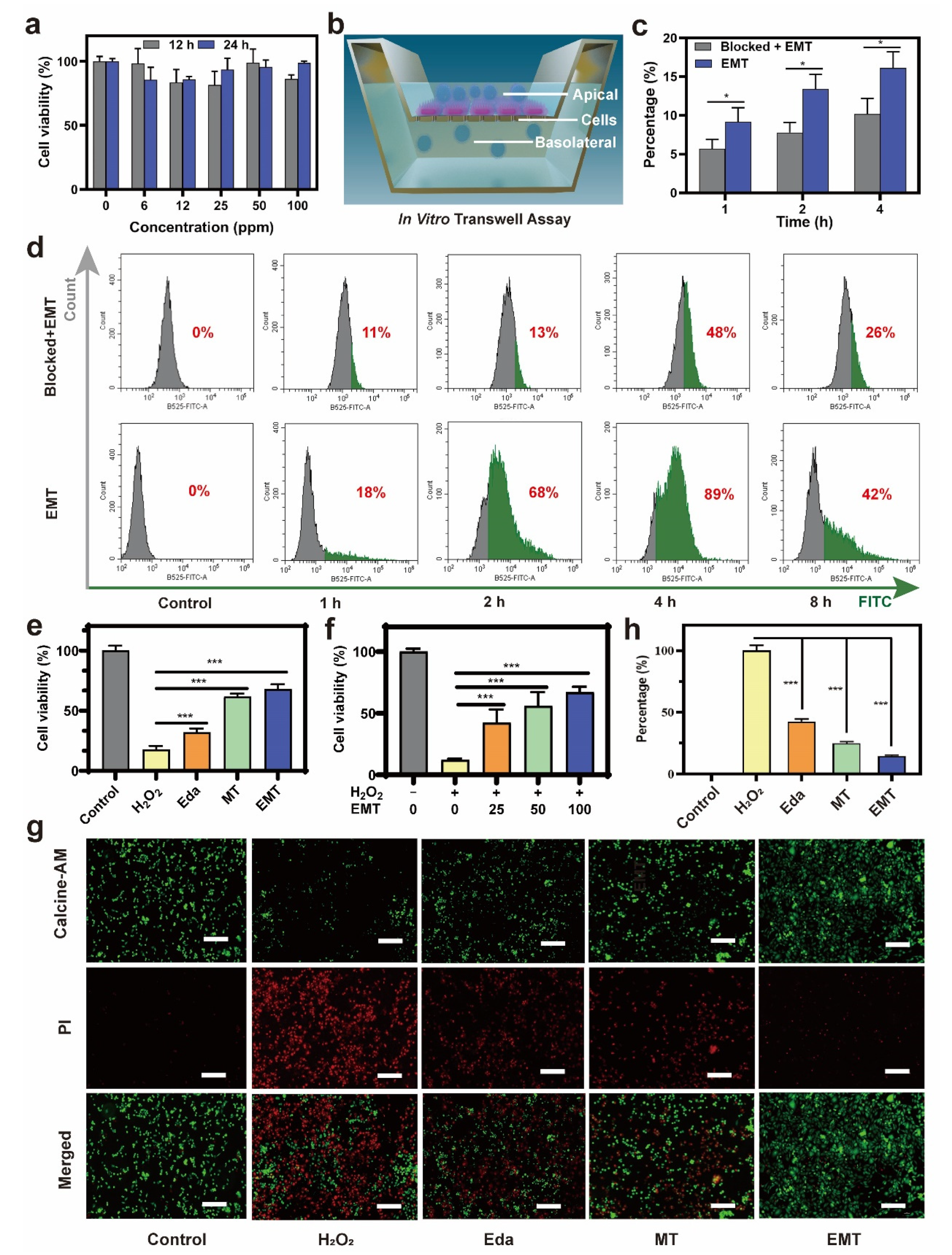 Pharmaceutics 14 01122 g004 550