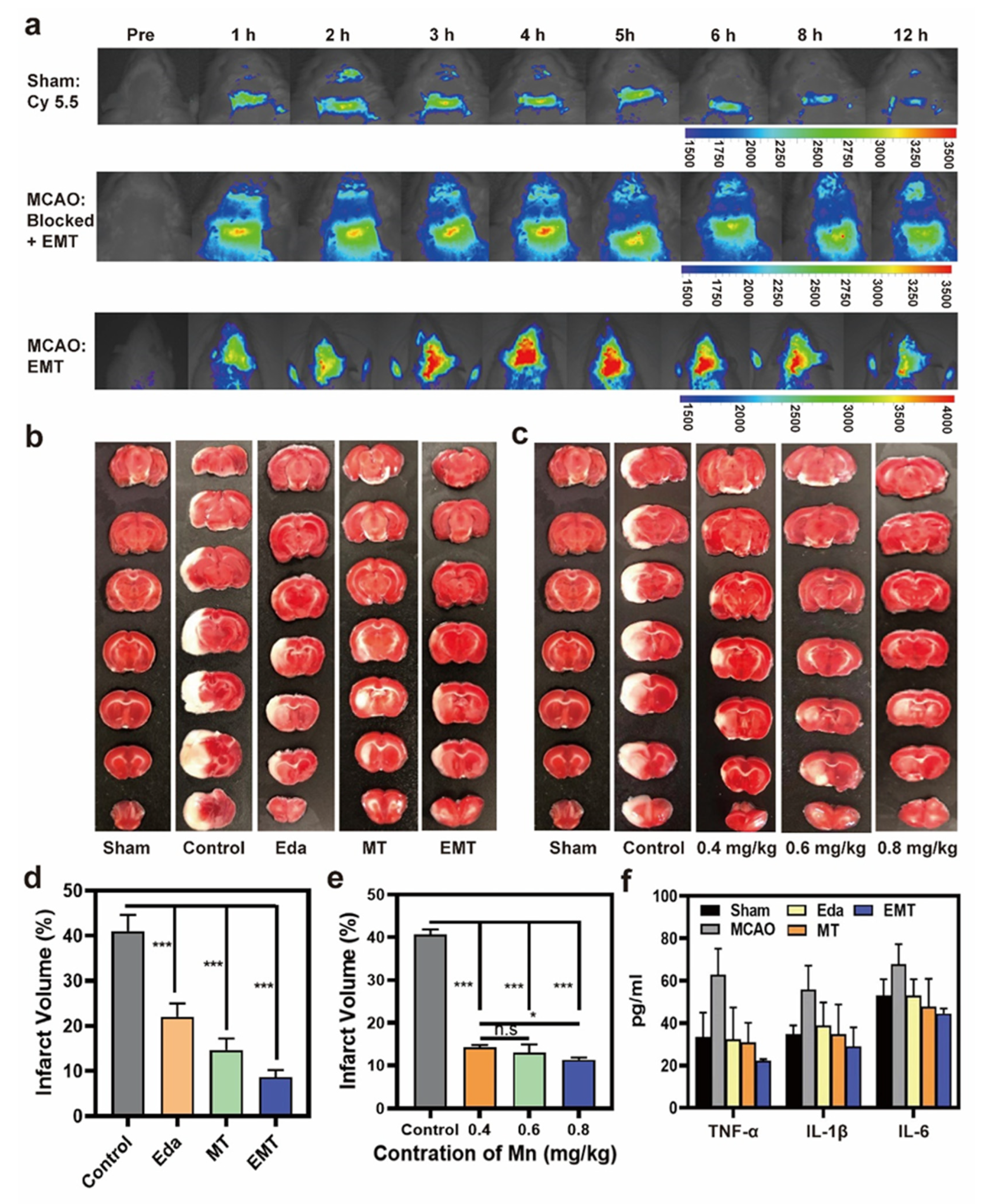 Pharmaceutics 14 01122 g005 550