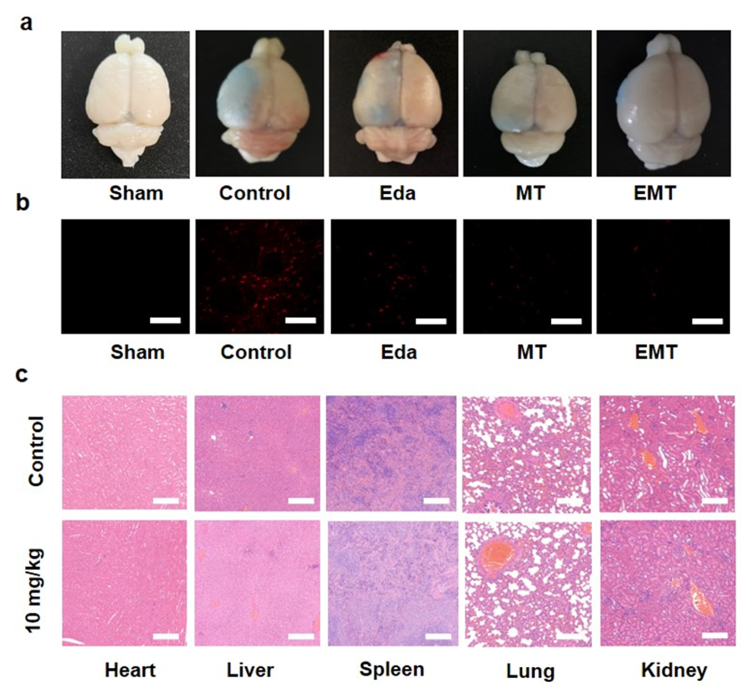 Pharmaceutics 14 01122 g006 550