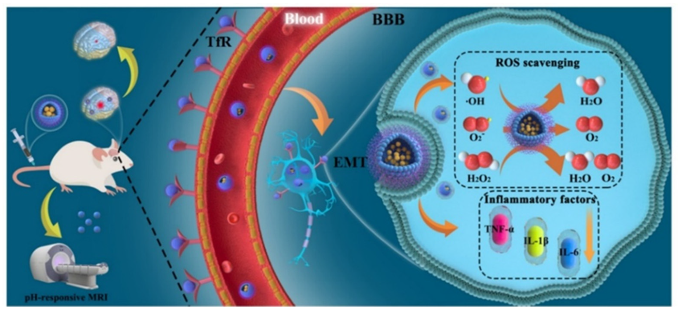 Pharmaceutics 14 01122 sch001 550