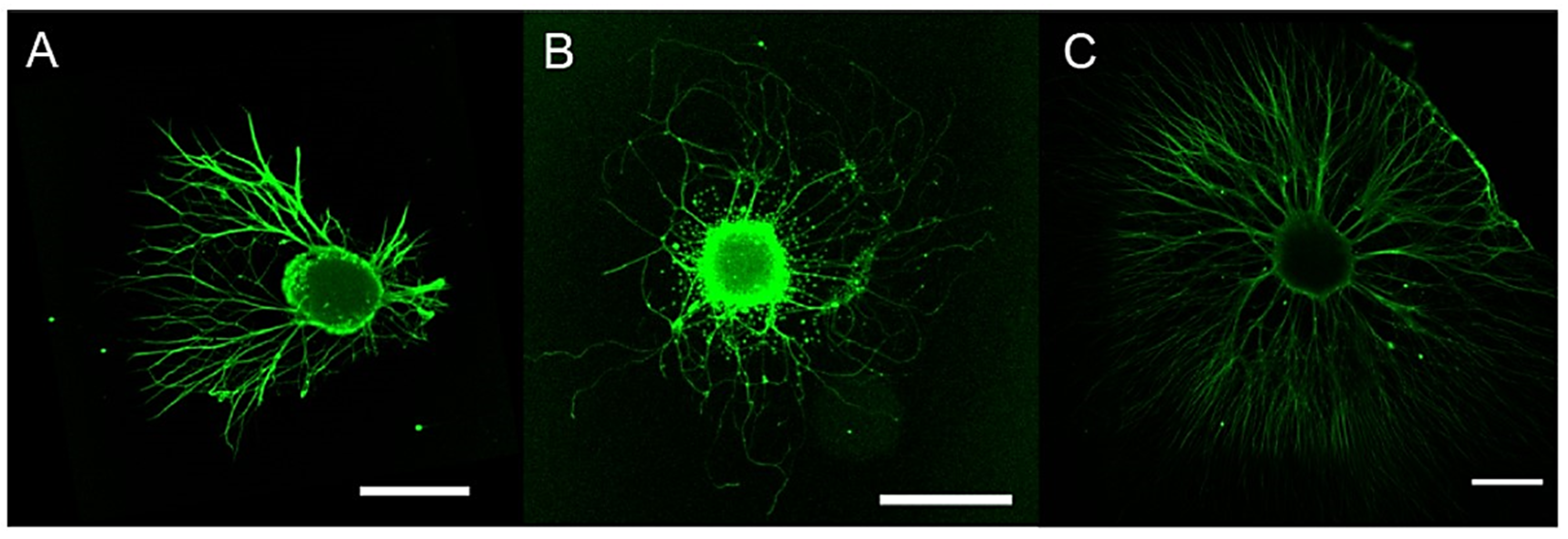 Pharmaceutics 14 01127 g007