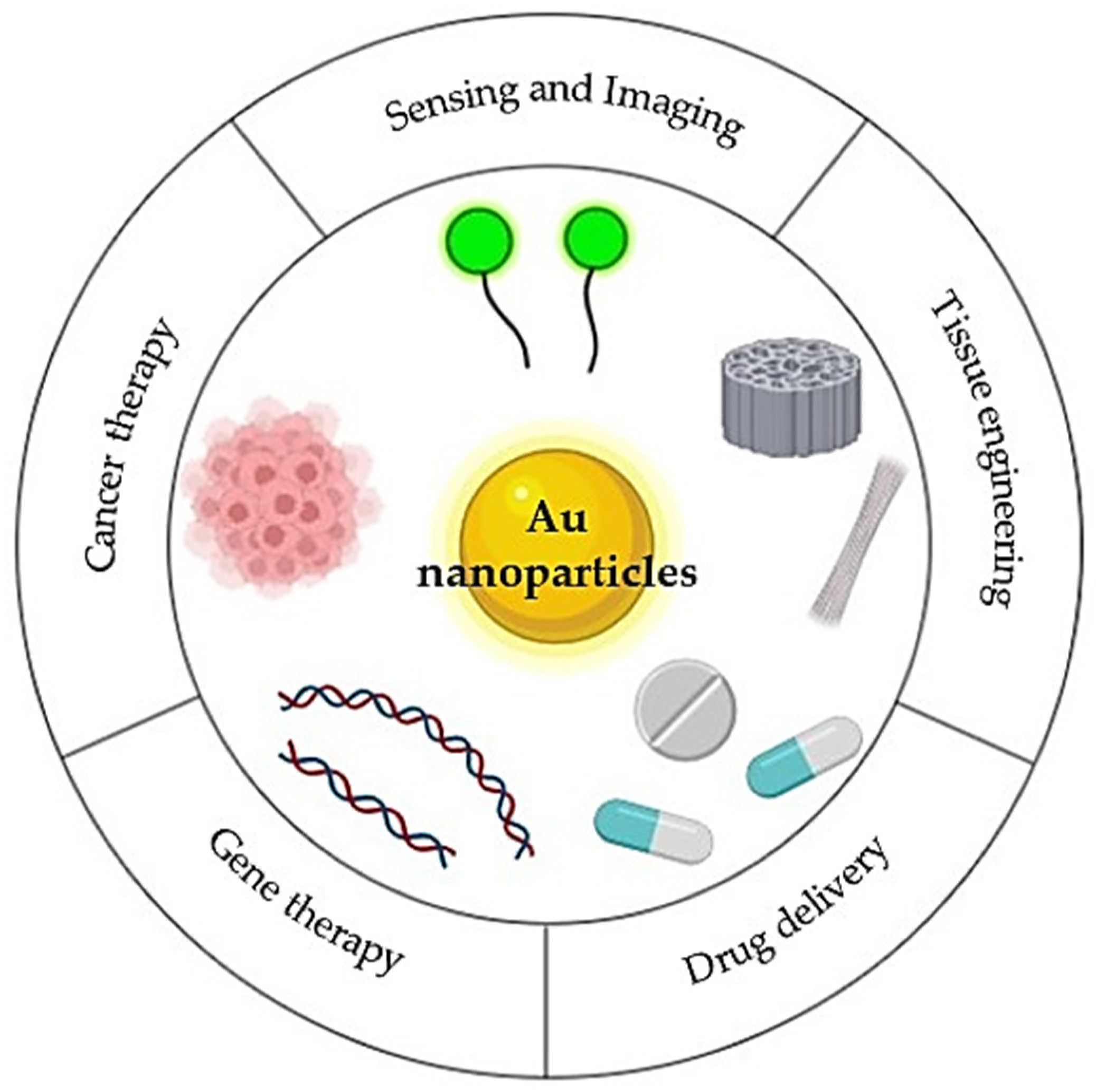 Pharmaceutics 14 01127 g008