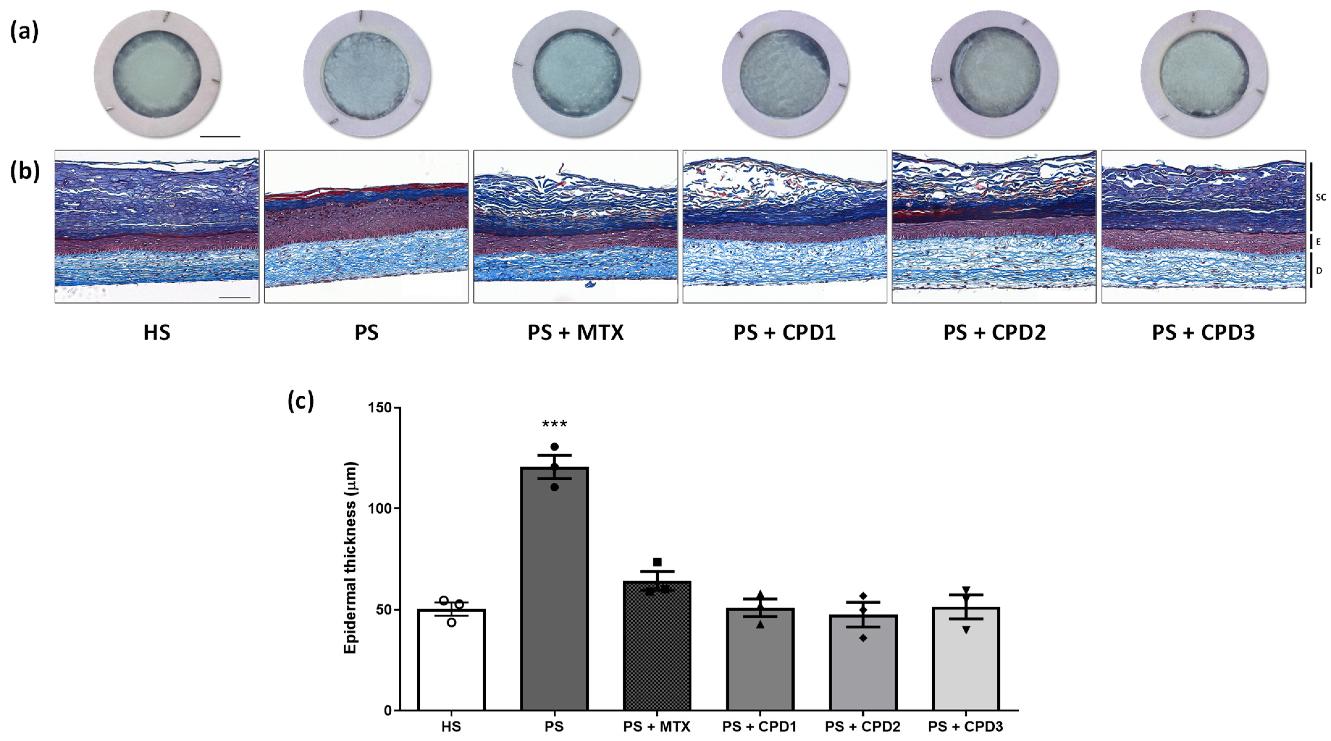 Pharmaceutics 14 01129 g002