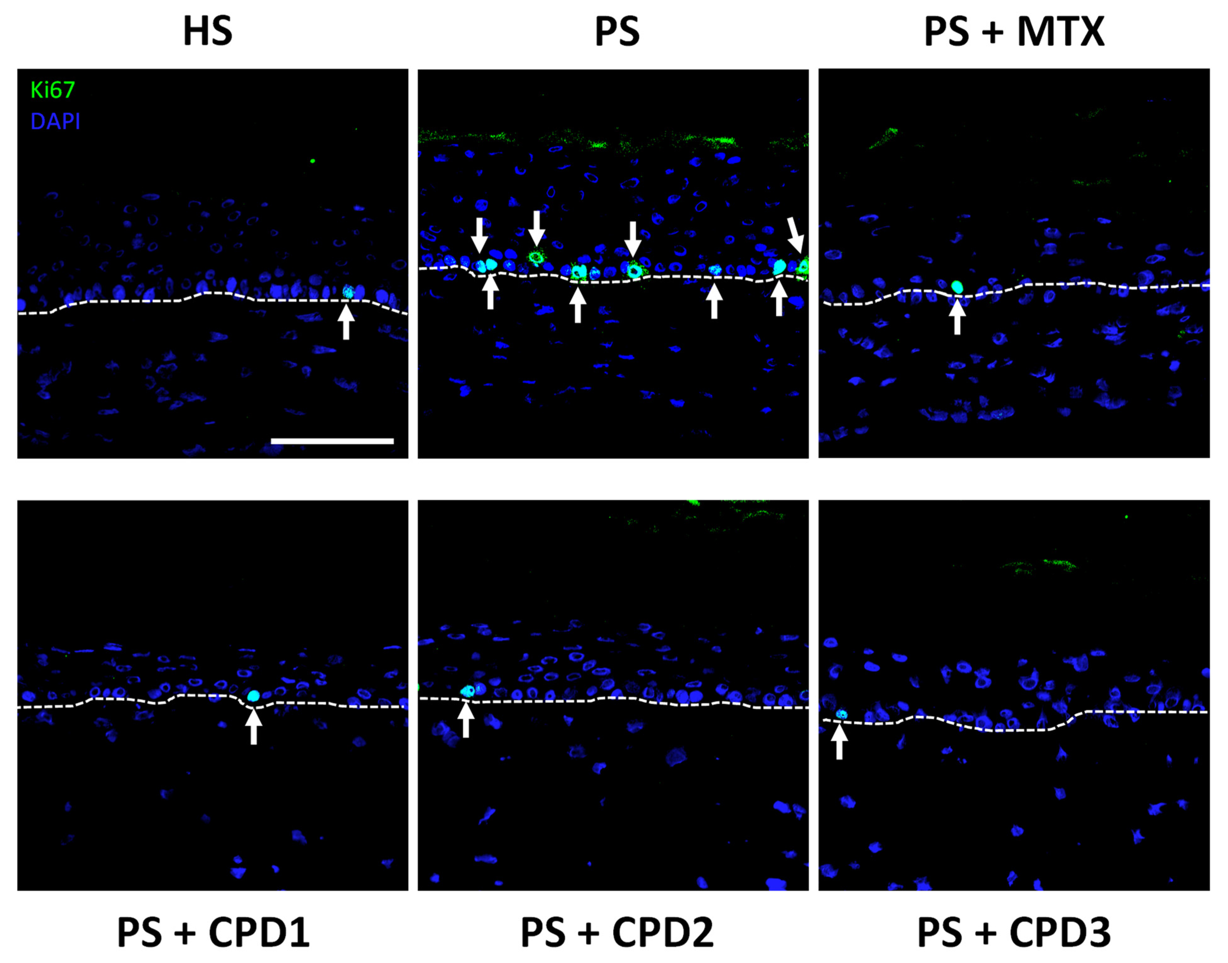 Pharmaceutics 14 01129 g003