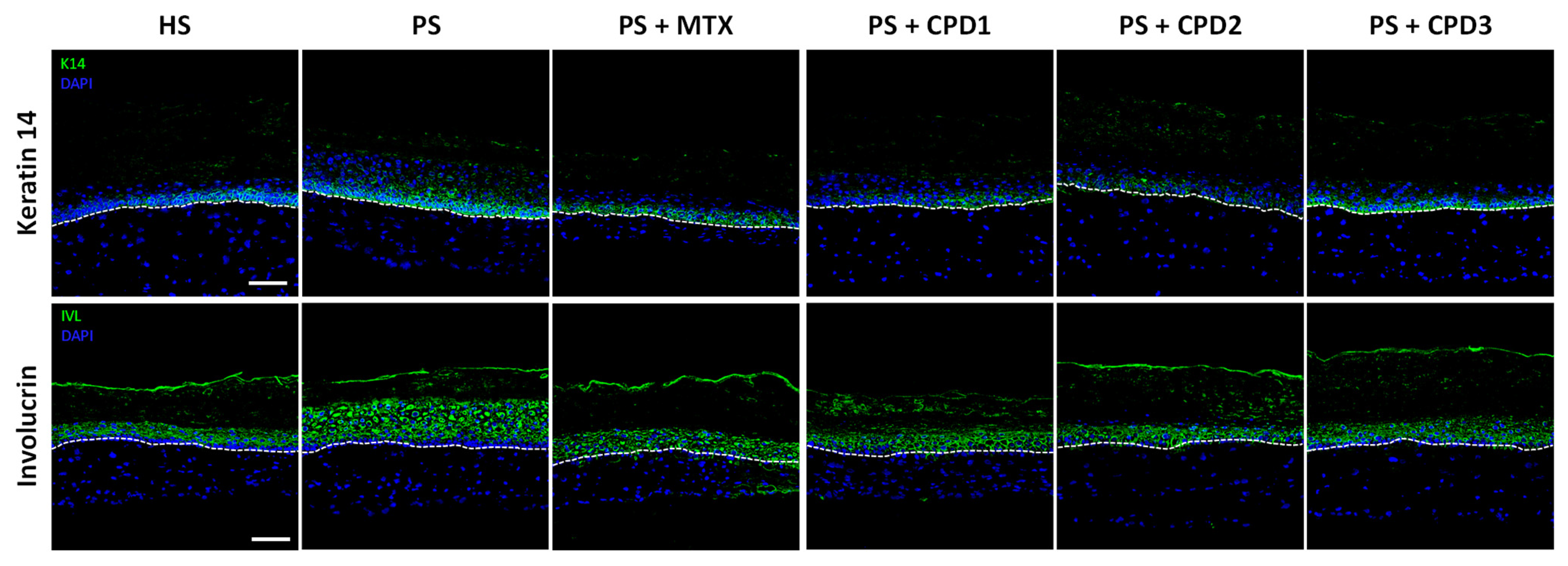 Pharmaceutics 14 01129 g004