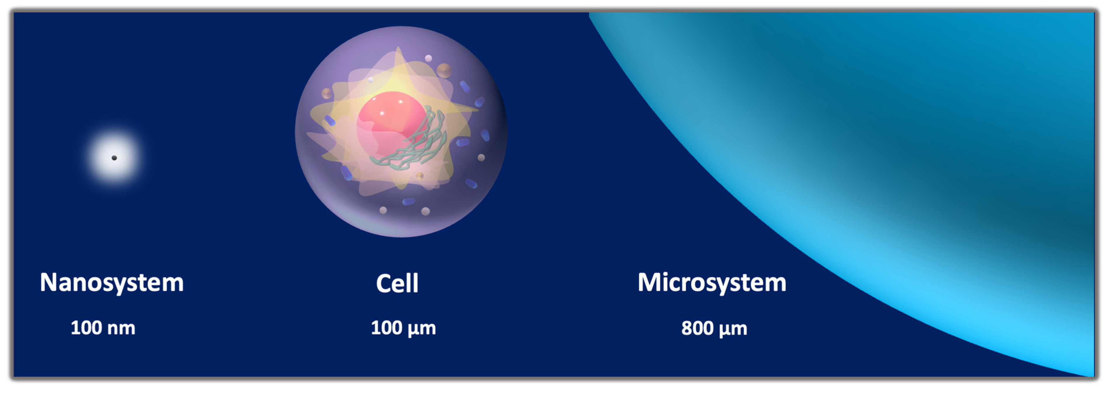 Pharmaceutics 14 01132 g003 Pharmaceutics 14 01132 g003