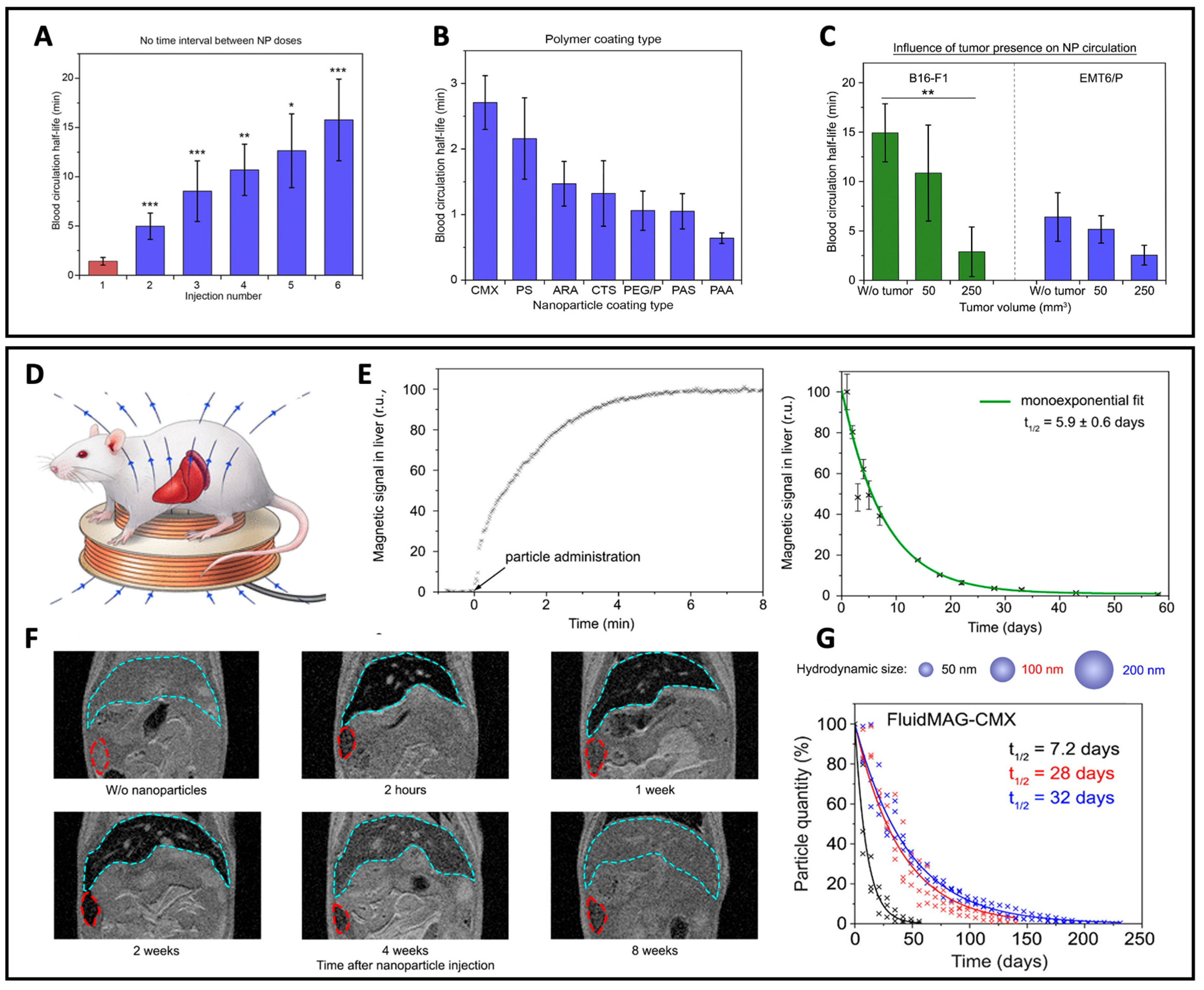 Pharmaceutics 14 01132 g005 Pharmaceutics 14 01132 g005