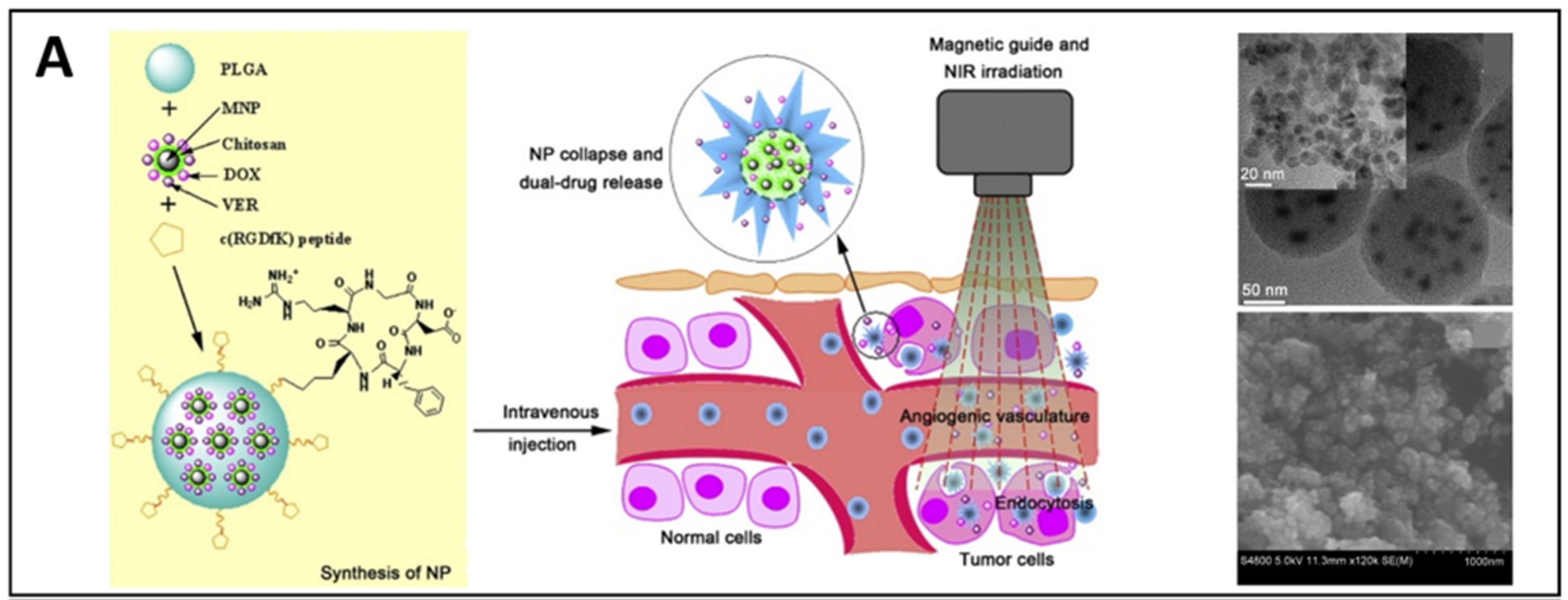 Pharmaceutics 14 01132 g006a Pharmaceutics 14 01132 g006a