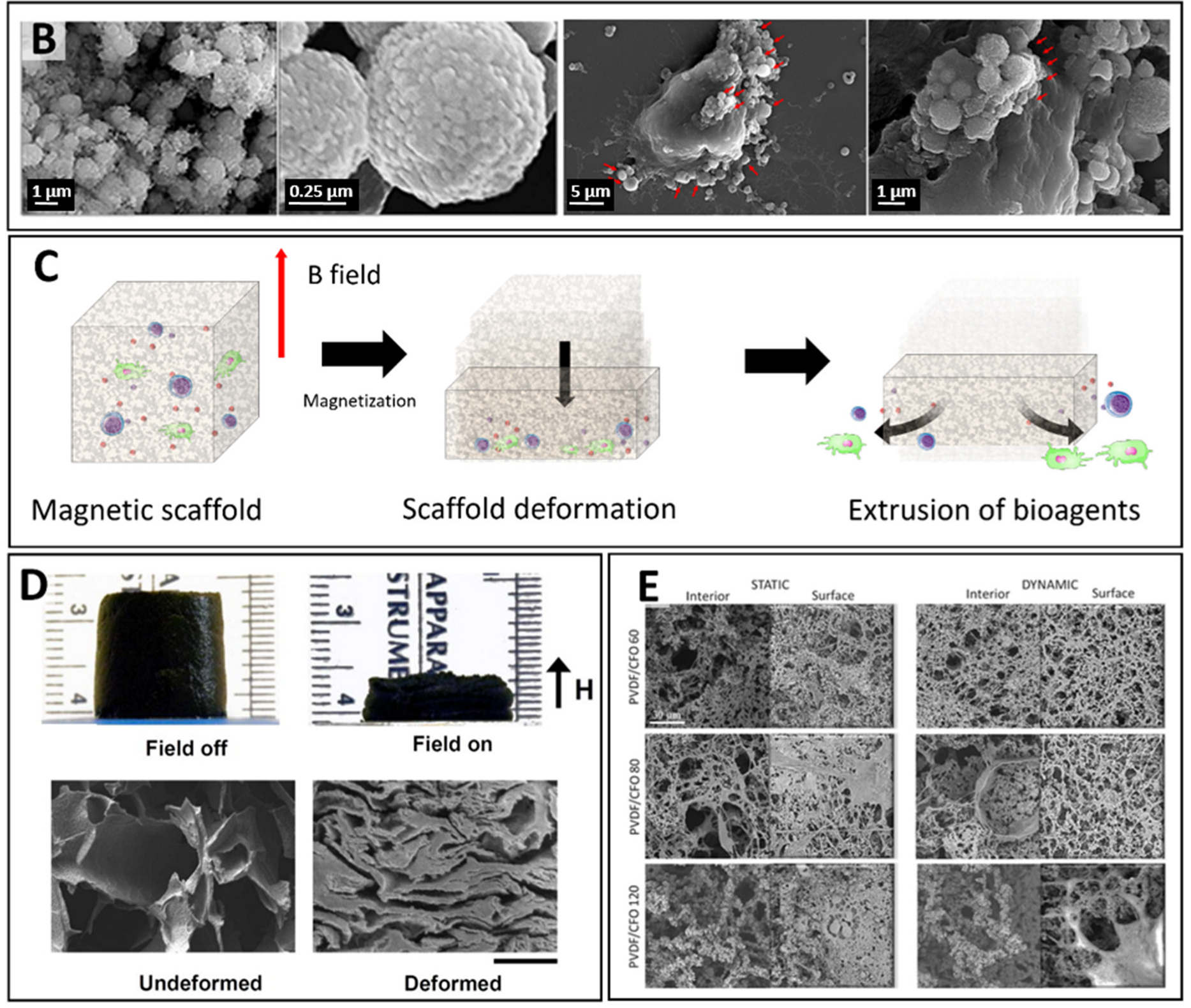 Pharmaceutics 14 01132 g006b Pharmaceutics 14 01132 g006b