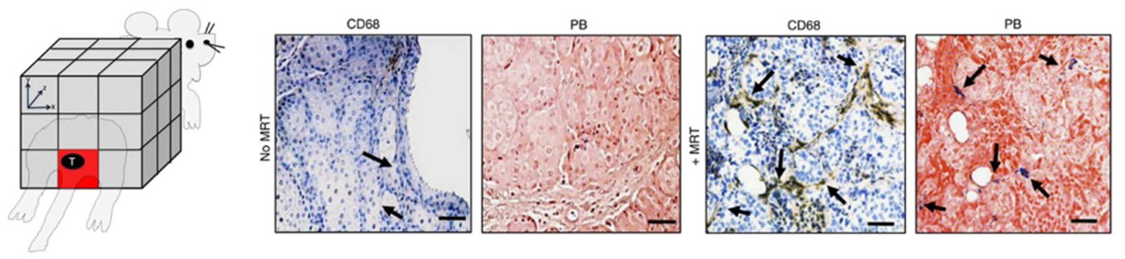 Pharmaceutics 14 01132 g008 Pharmaceutics 14 01132 g008