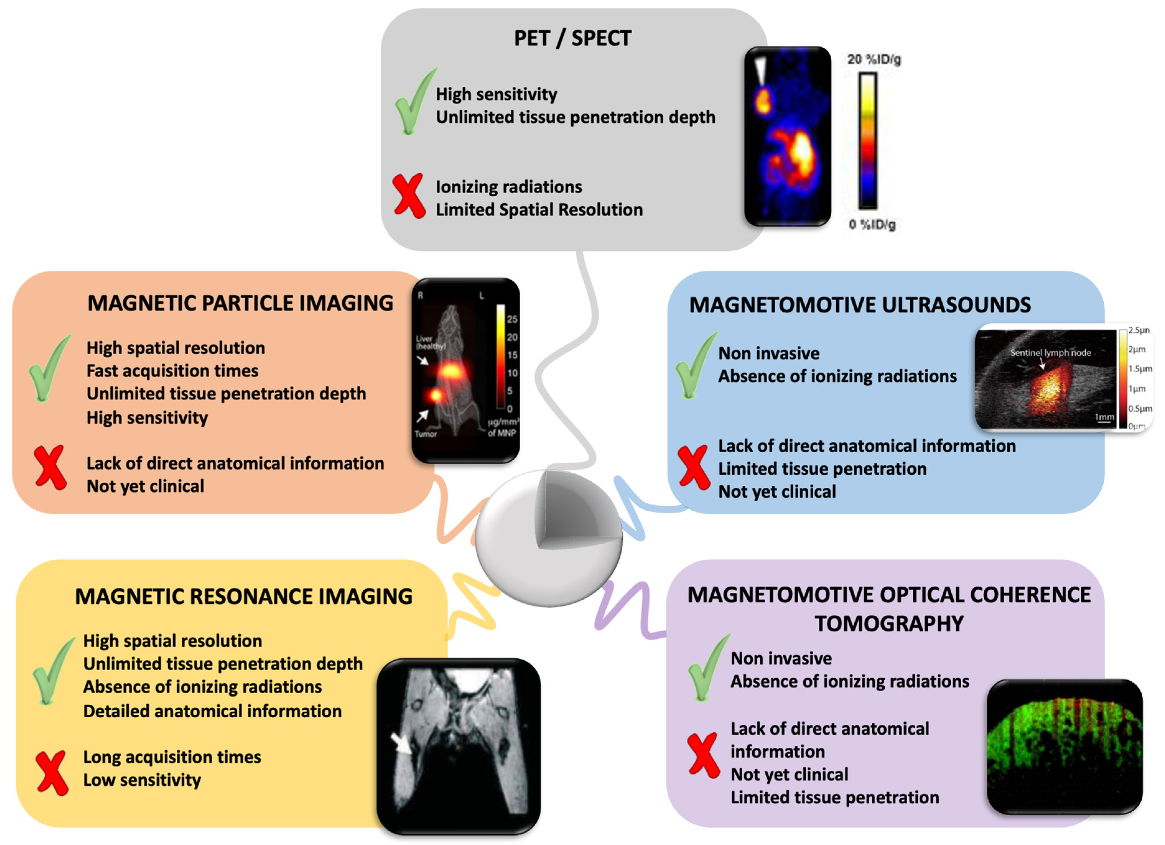 Pharmaceutics 14 01132 g010 Pharmaceutics 14 01132 g010