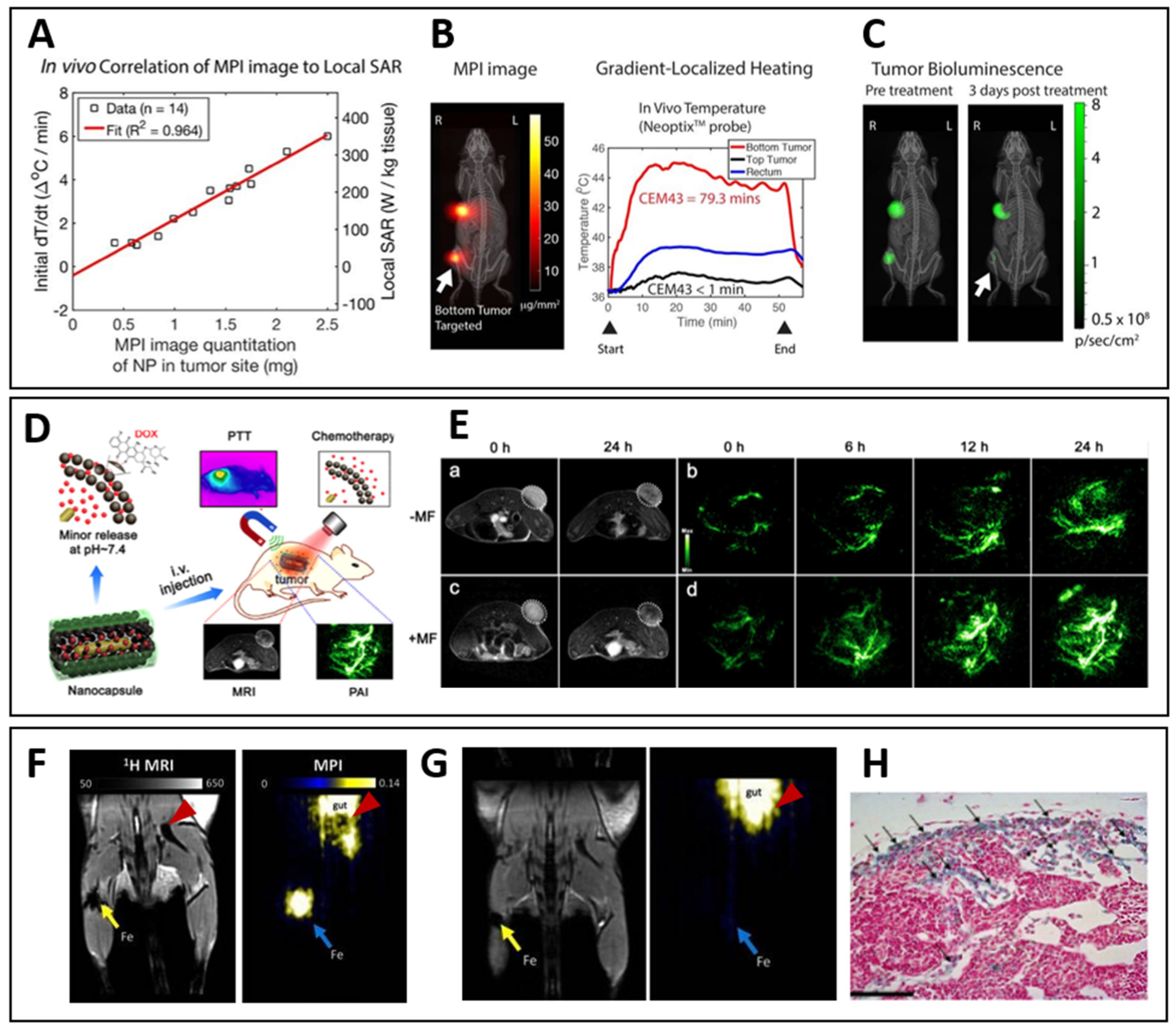 Pharmaceutics 14 01132 g011 Pharmaceutics 14 01132 g011