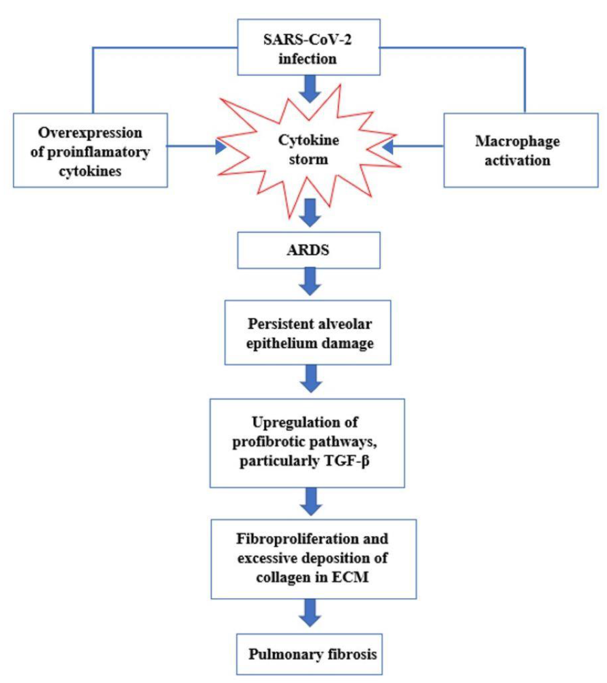 Pharmaceutics 14 01135 g003