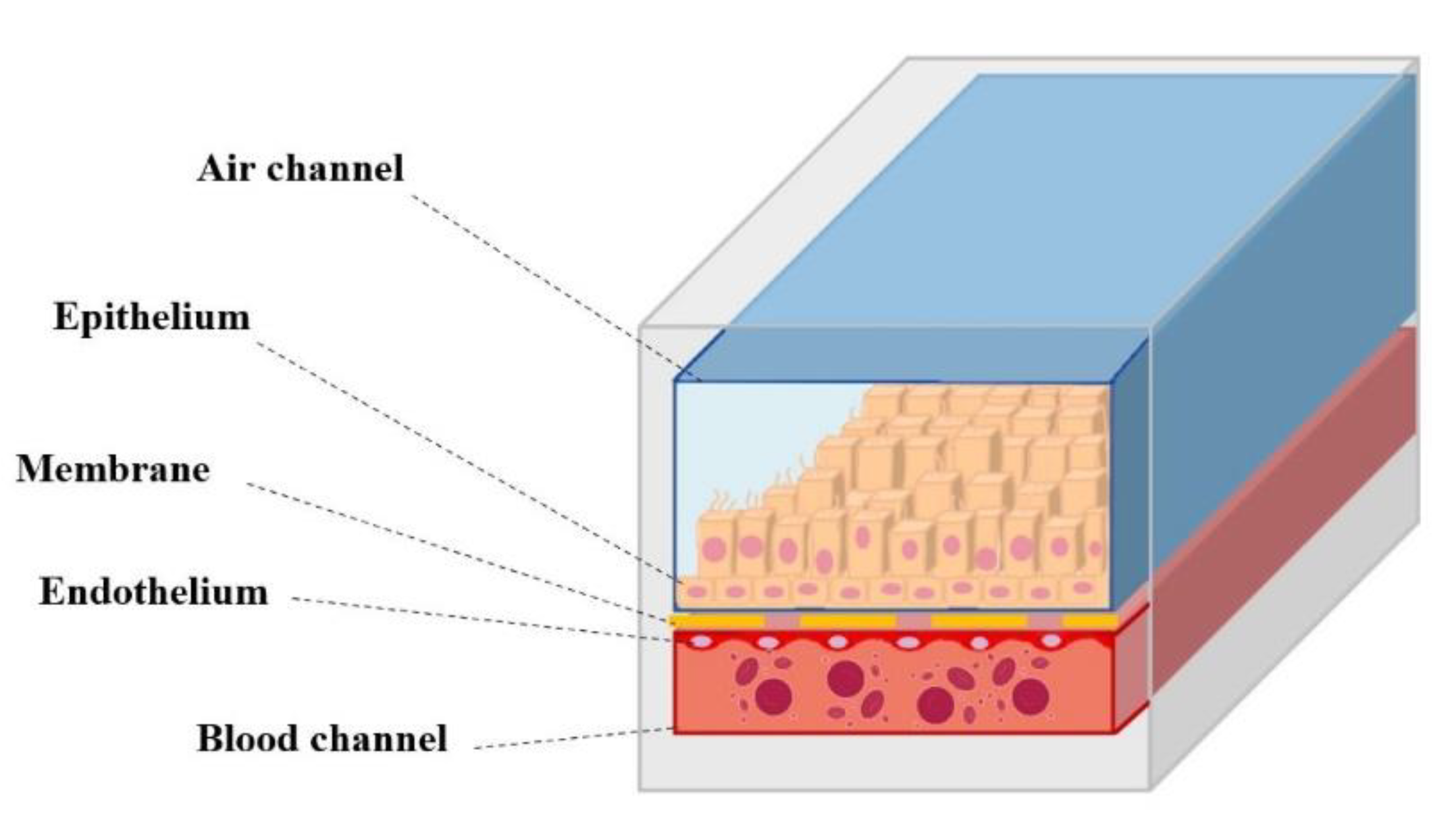 Pharmaceutics 14 01135 g004