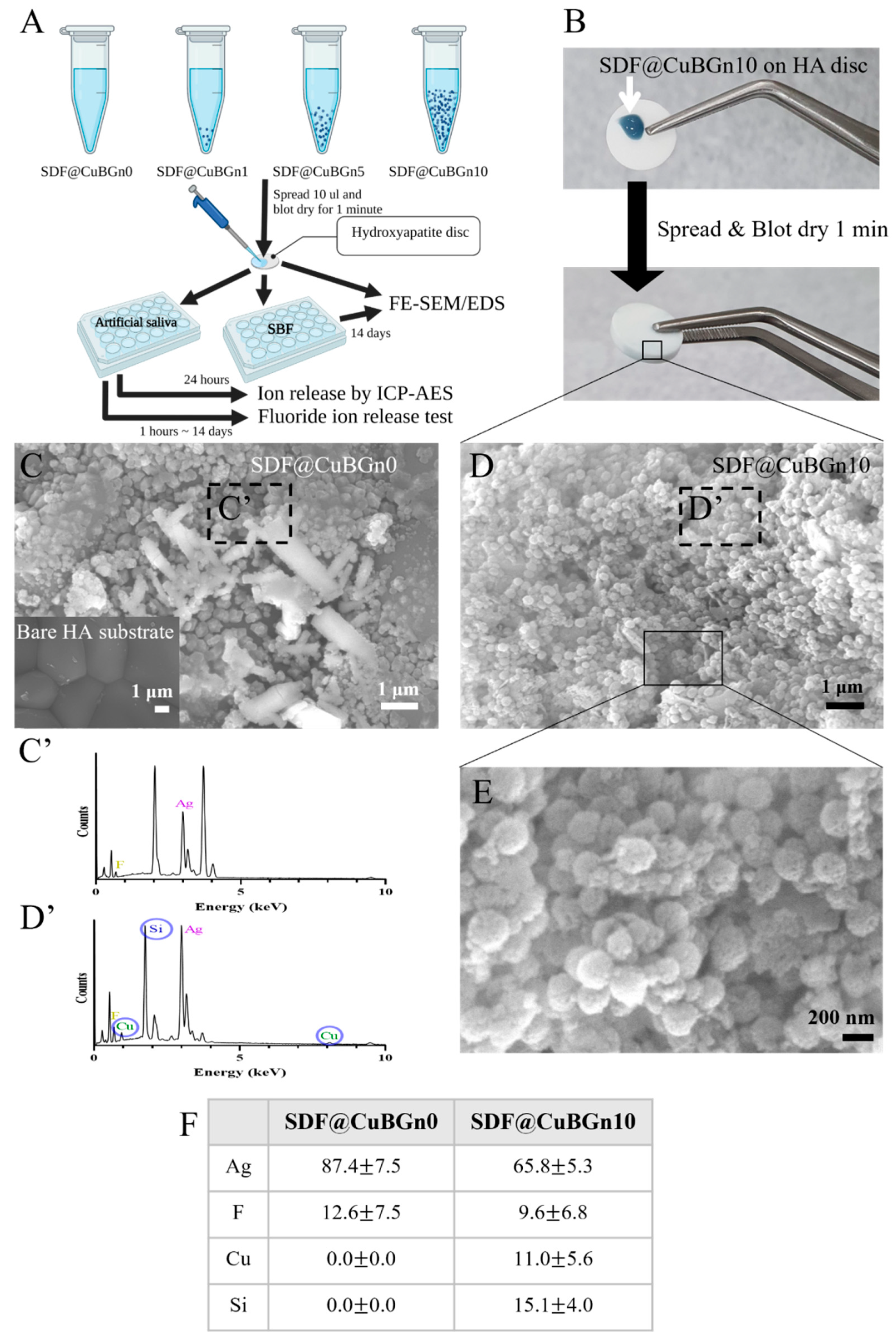 Pharmaceutics 14 01137 g002 550