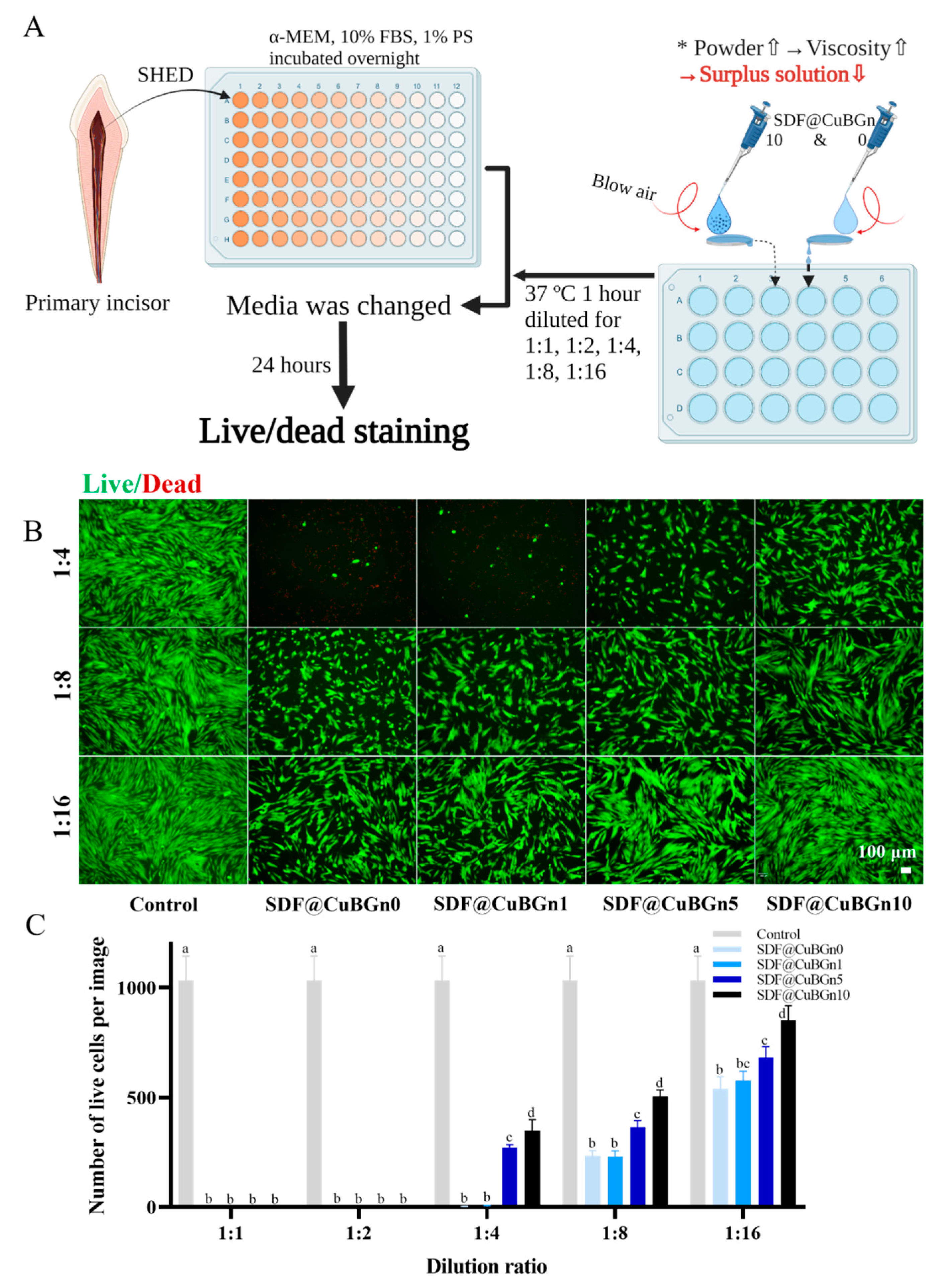 Pharmaceutics 14 01137 g005 550