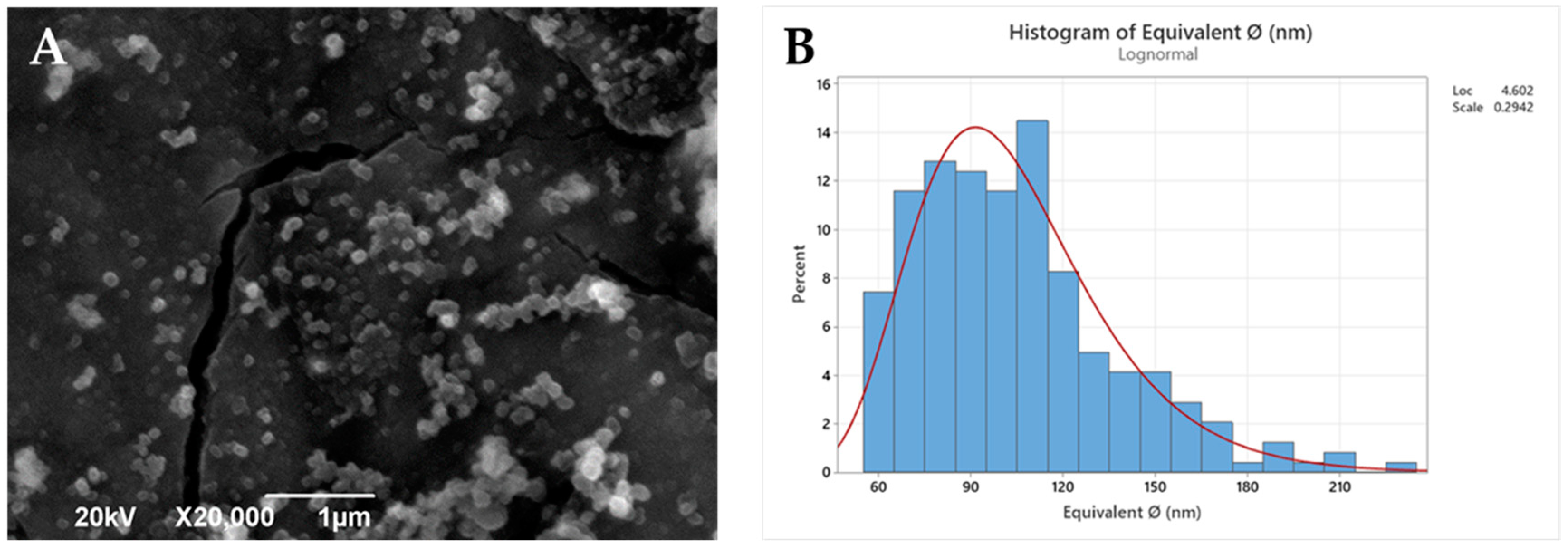 Pharmaceutics 14 01138 g003 550