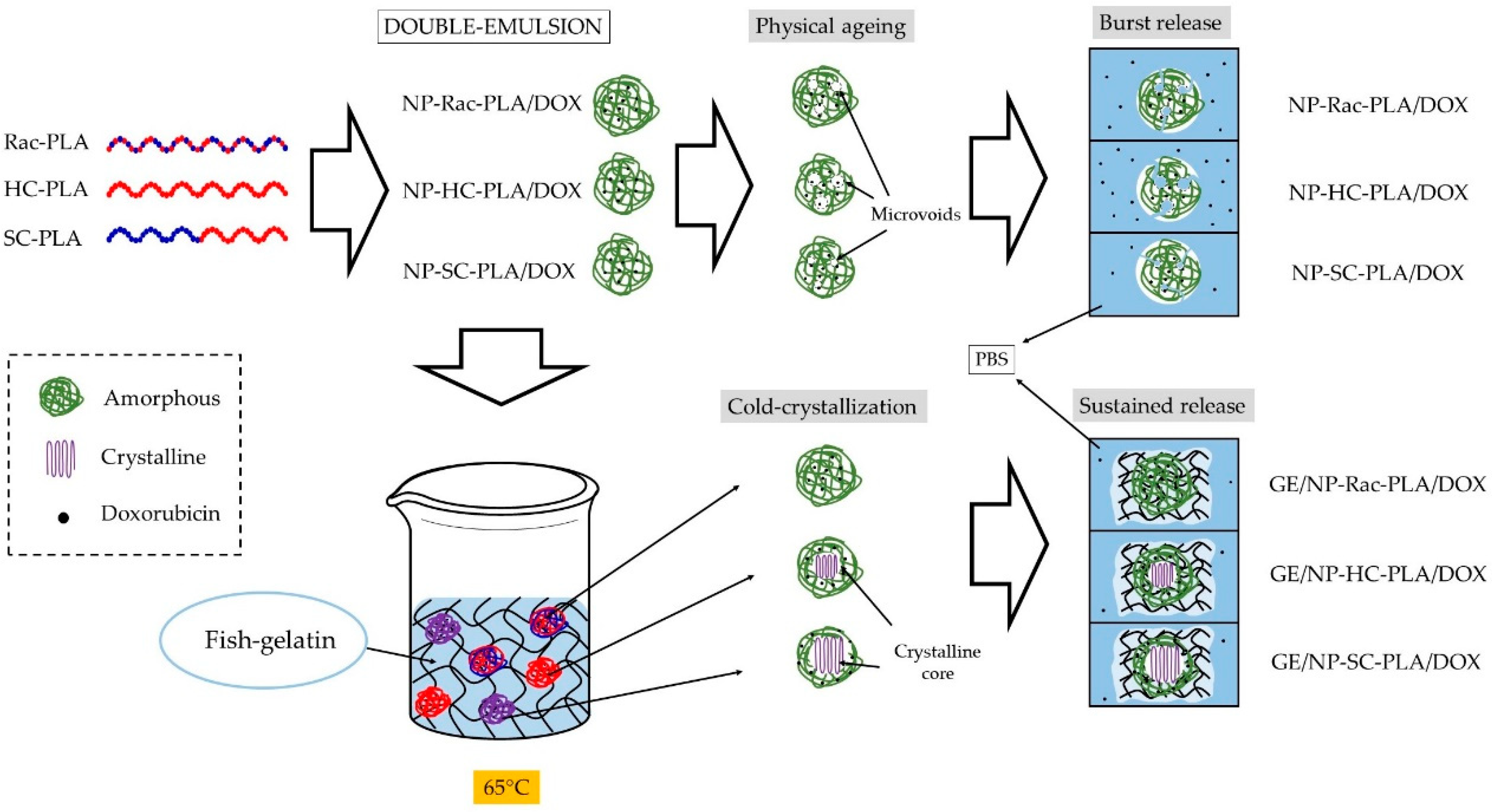 Pharmaceutics 14 01138 g010 550