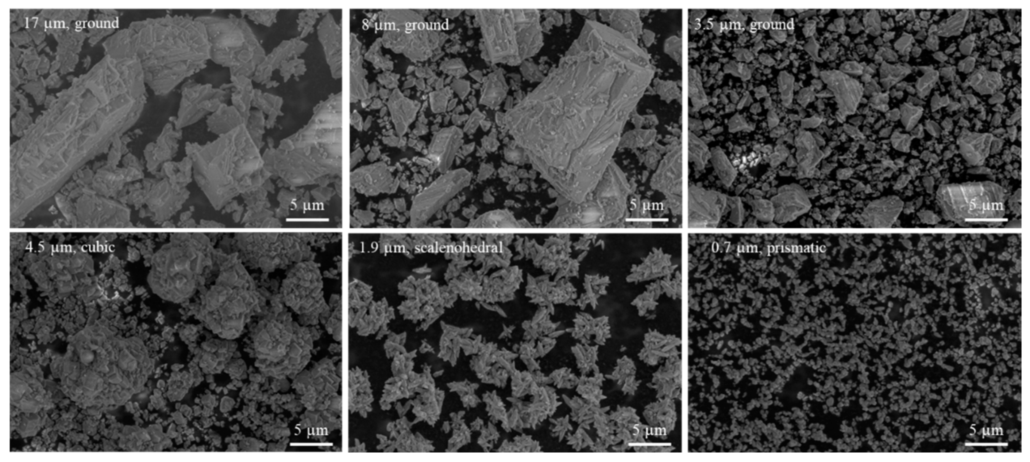 Pharmaceutics 14 01139 g003 550