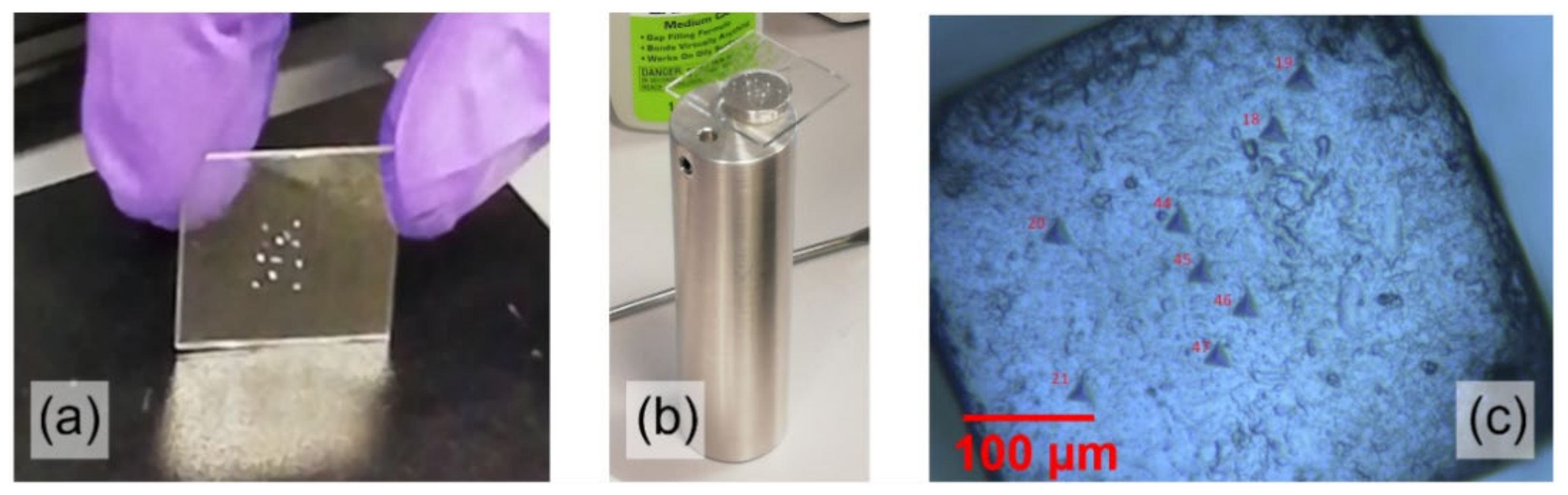 Pharmaceutics 14 01146 g002 550