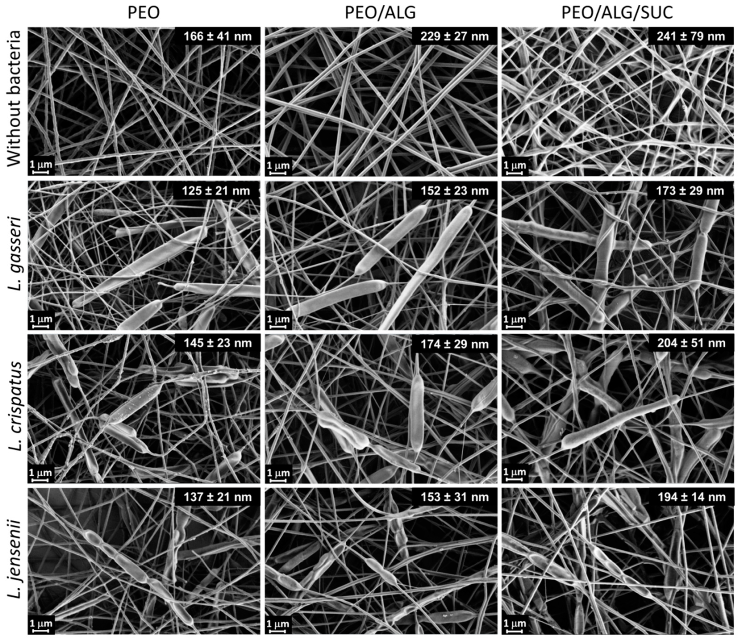 Pharmaceutics 14 01155 g003