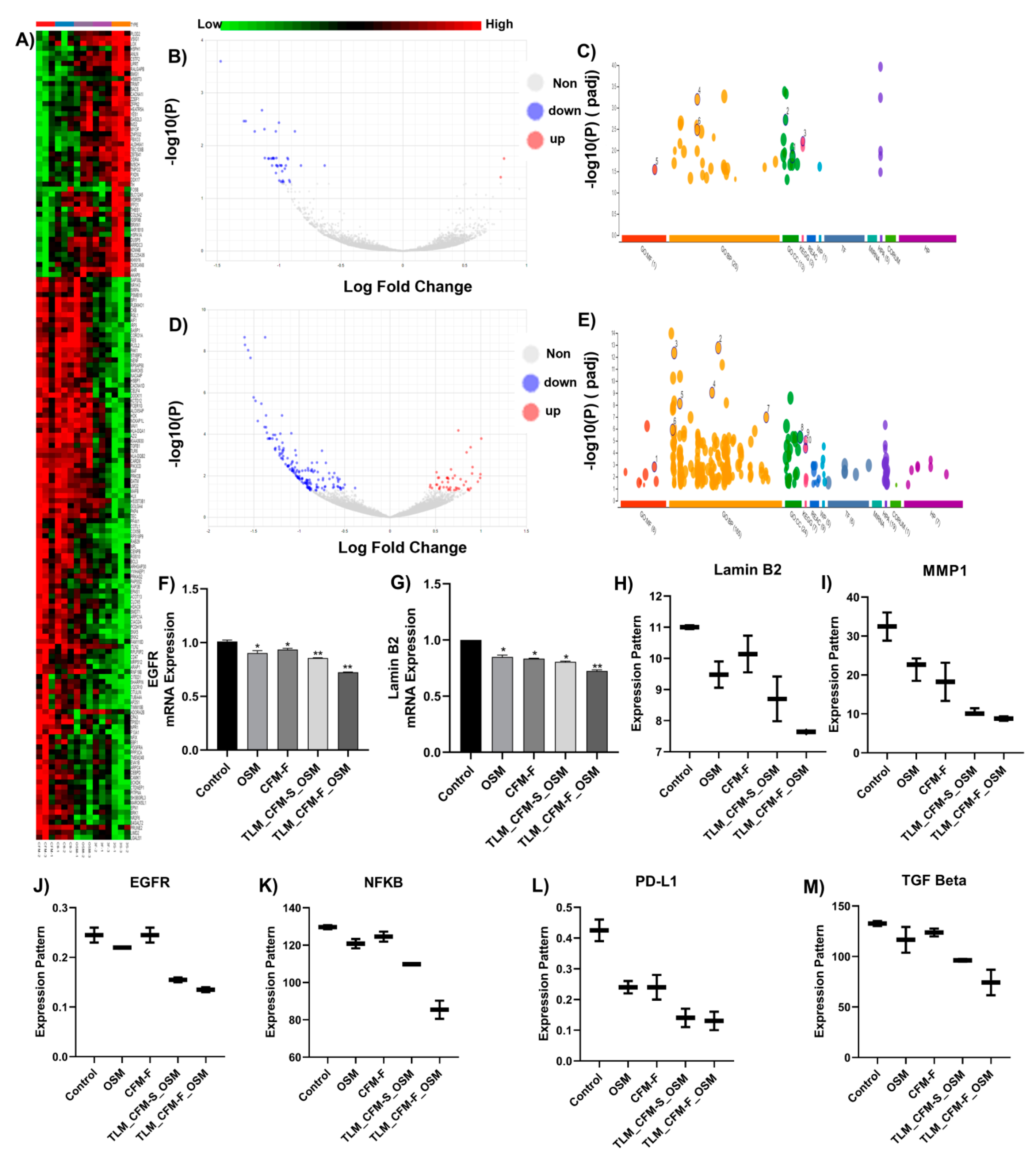 Pharmaceutics 14 01156 g002 Pharmaceutics 14 01156 g002