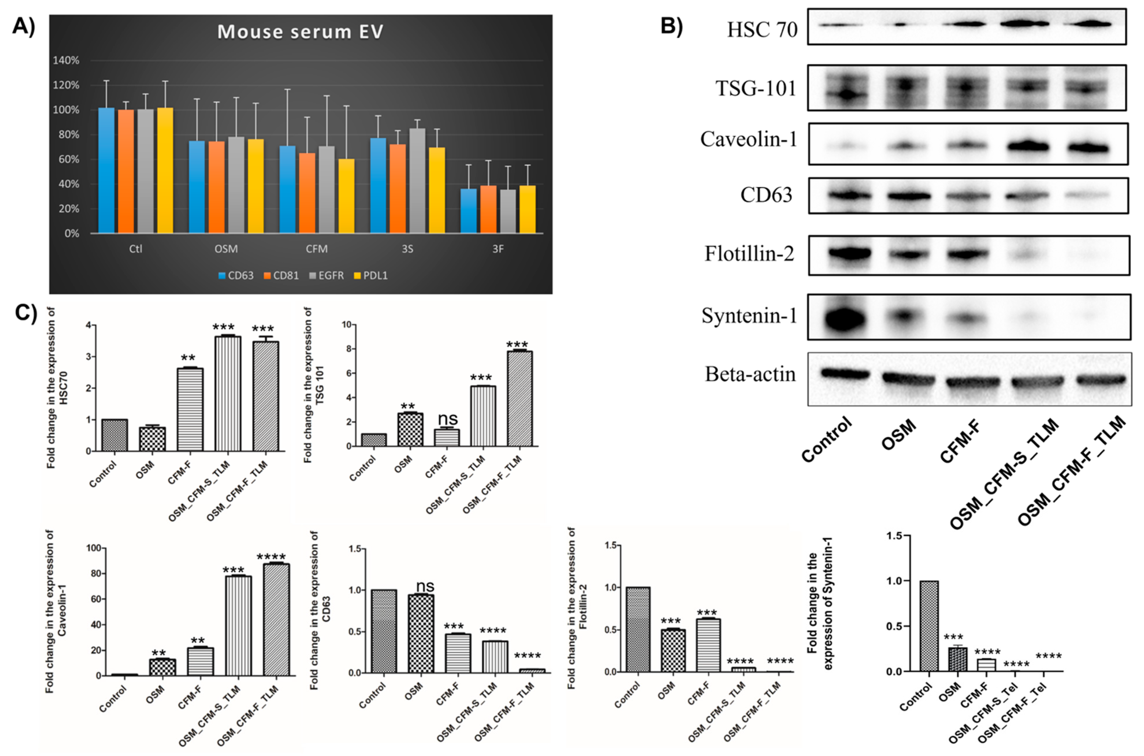 Pharmaceutics 14 01156 g005 Pharmaceutics 14 01156 g005