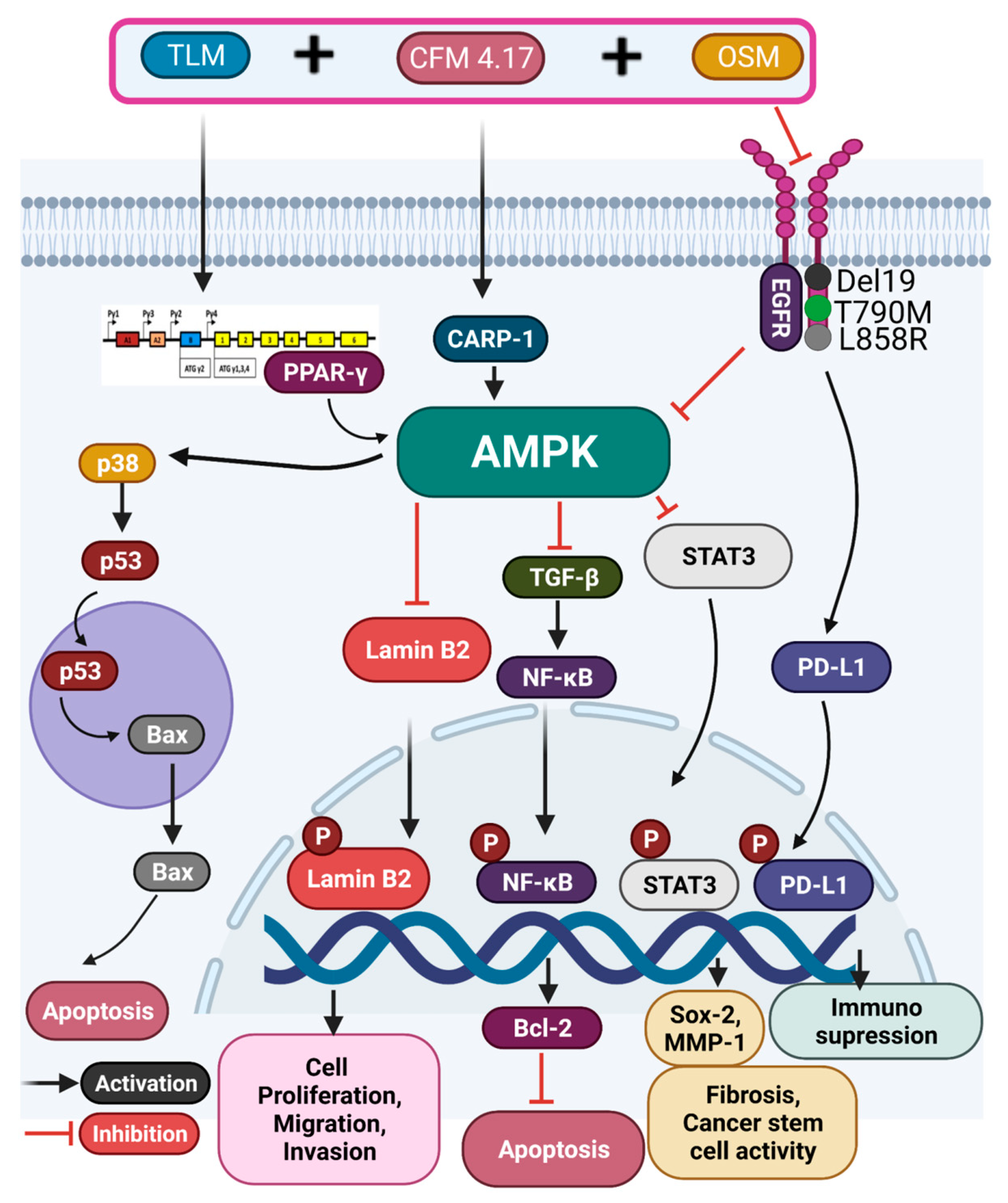 Pharmaceutics 14 01156 g006 Pharmaceutics 14 01156 g006