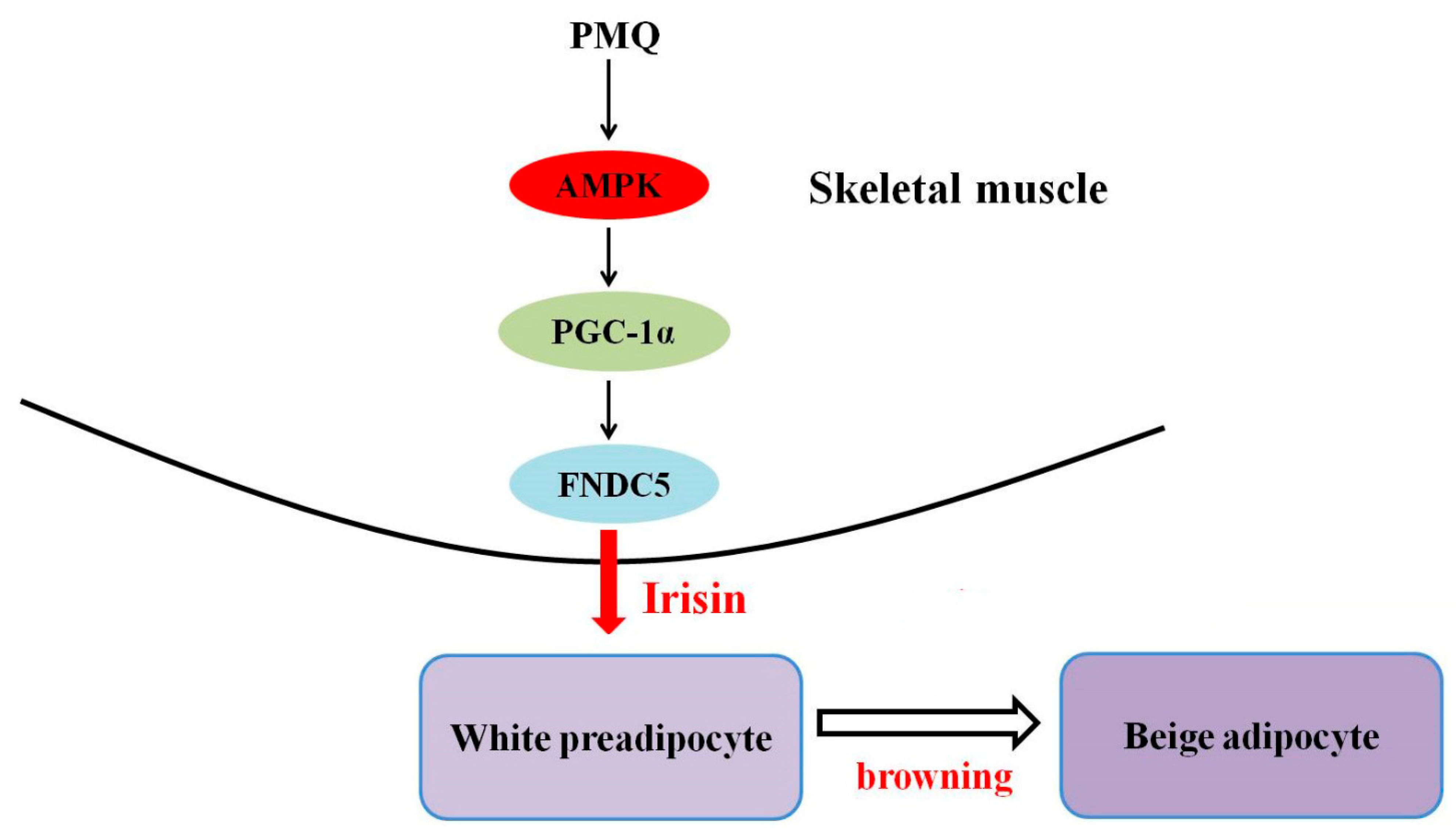 Pharmaceutics 14 01159 g008