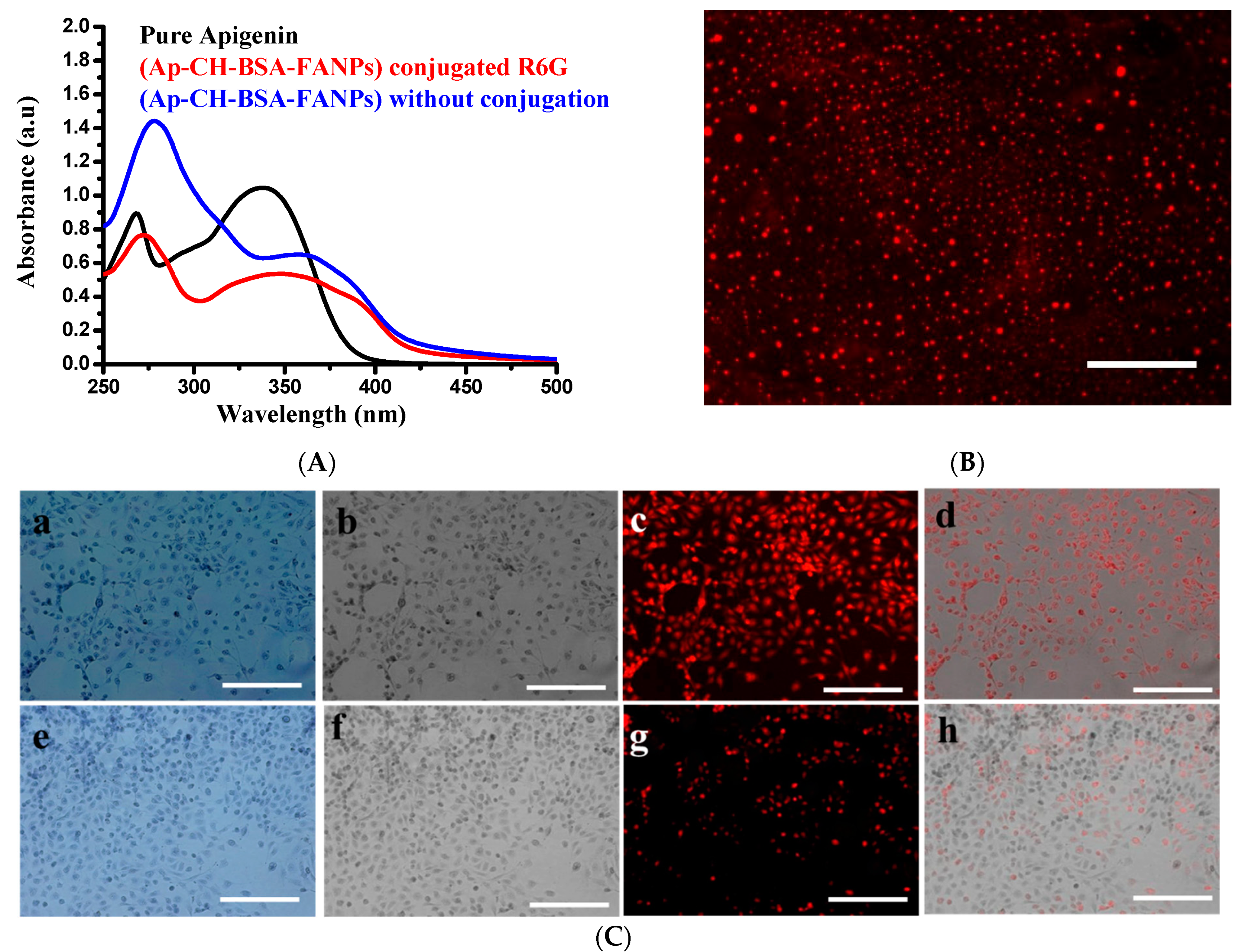Pharmaceutics 14 01160 g007