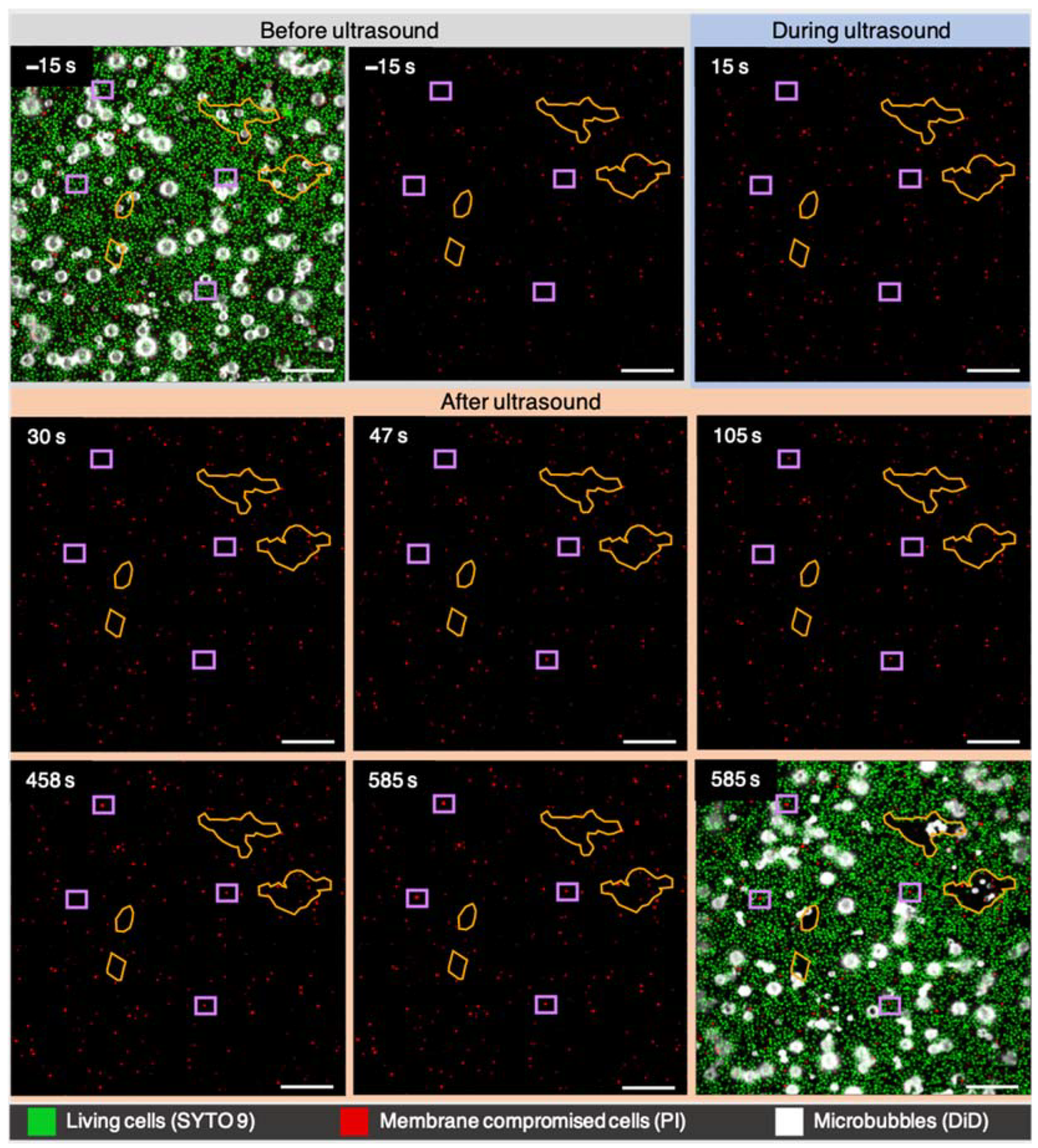 Pharmaceutics 14 01164 g002 Pharmaceutics 14 01164 g002