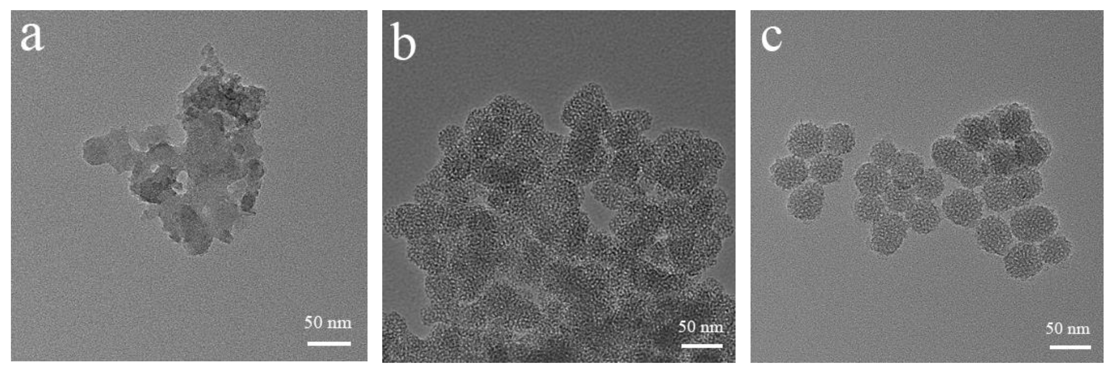 Pharmaceutics 14 01166 g003