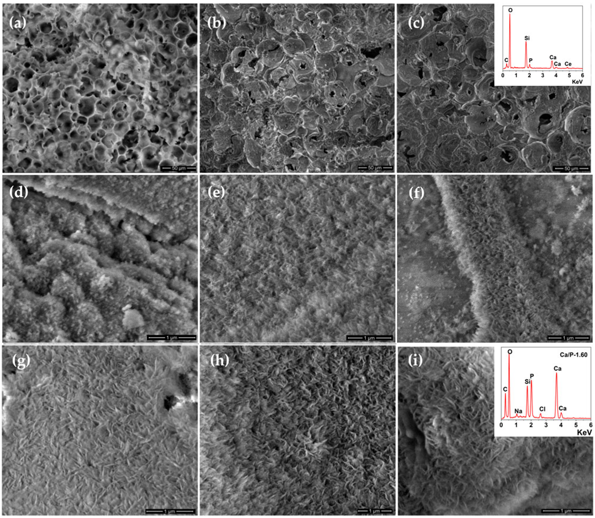 Pharmaceutics 14 01169 g003