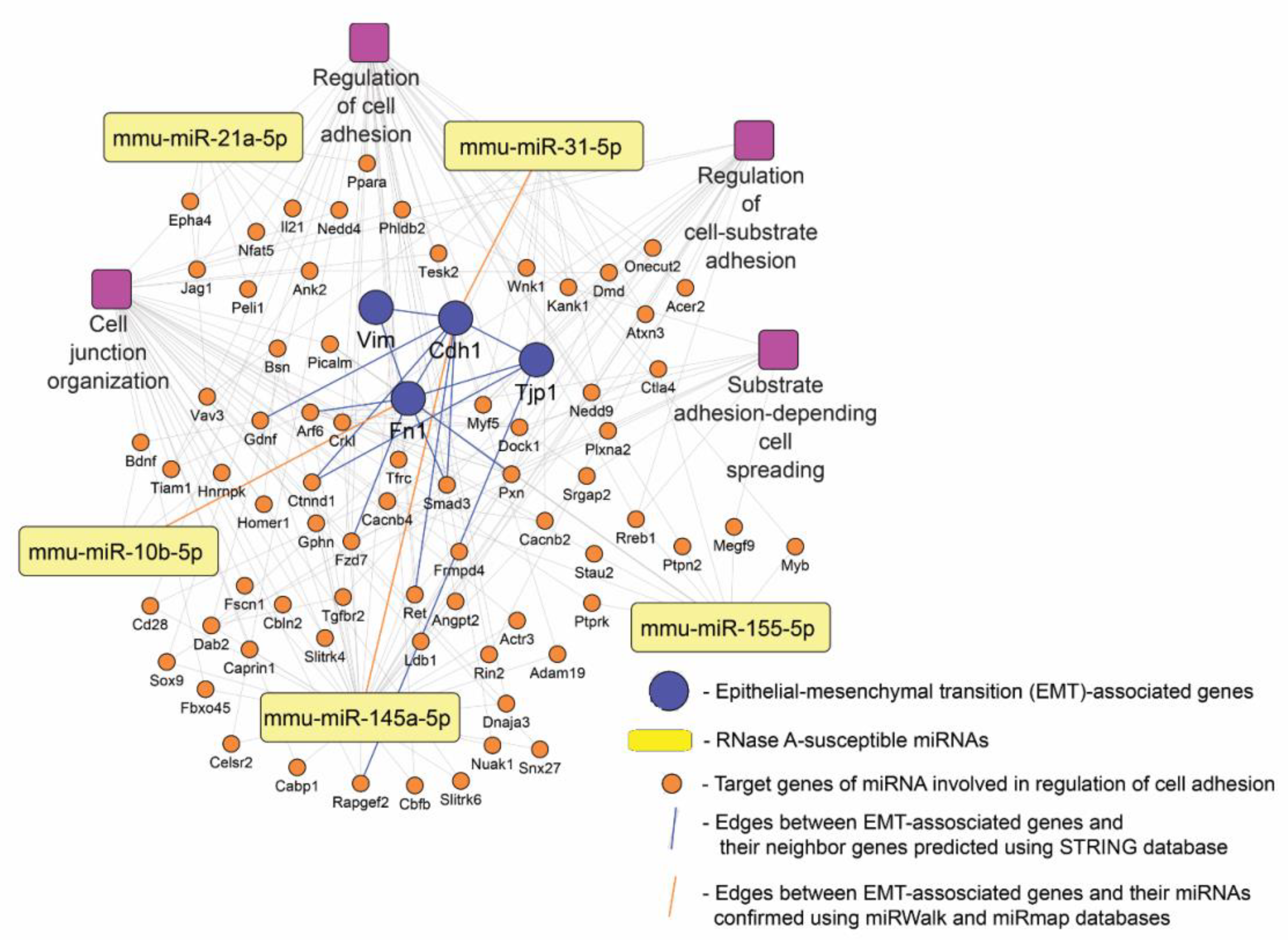 Pharmaceutics 14 01173 g009