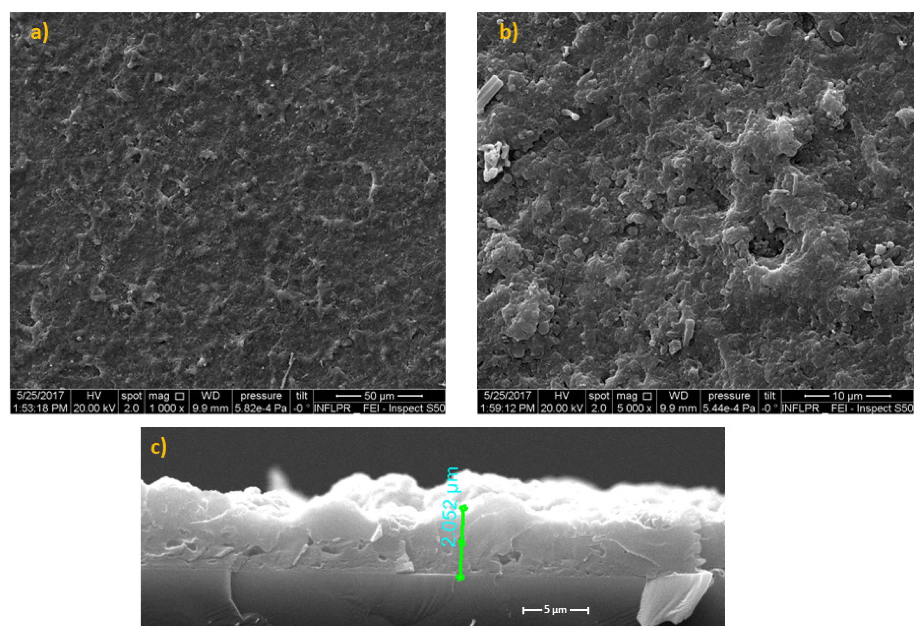 Pharmaceutics 14 01175 g002