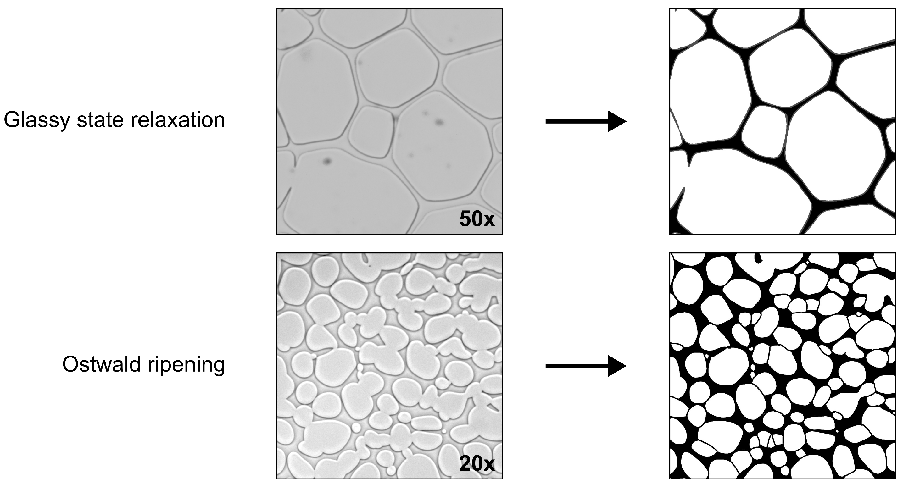 Pharmaceutics 14 01176 g003