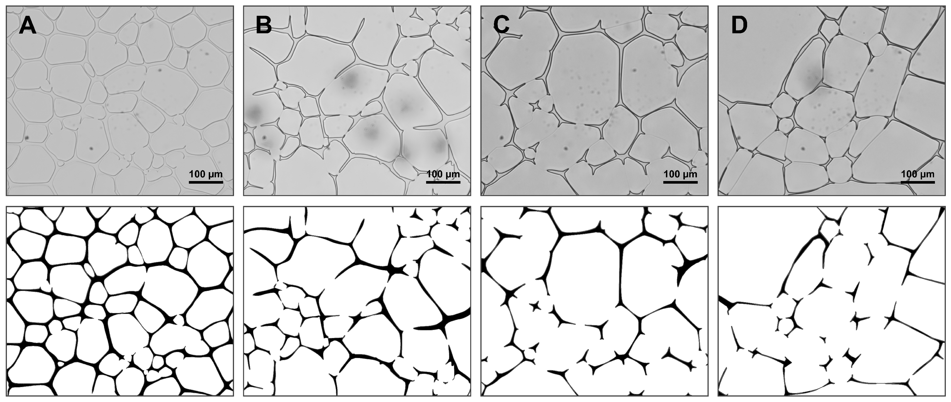 Pharmaceutics 14 01176 g004