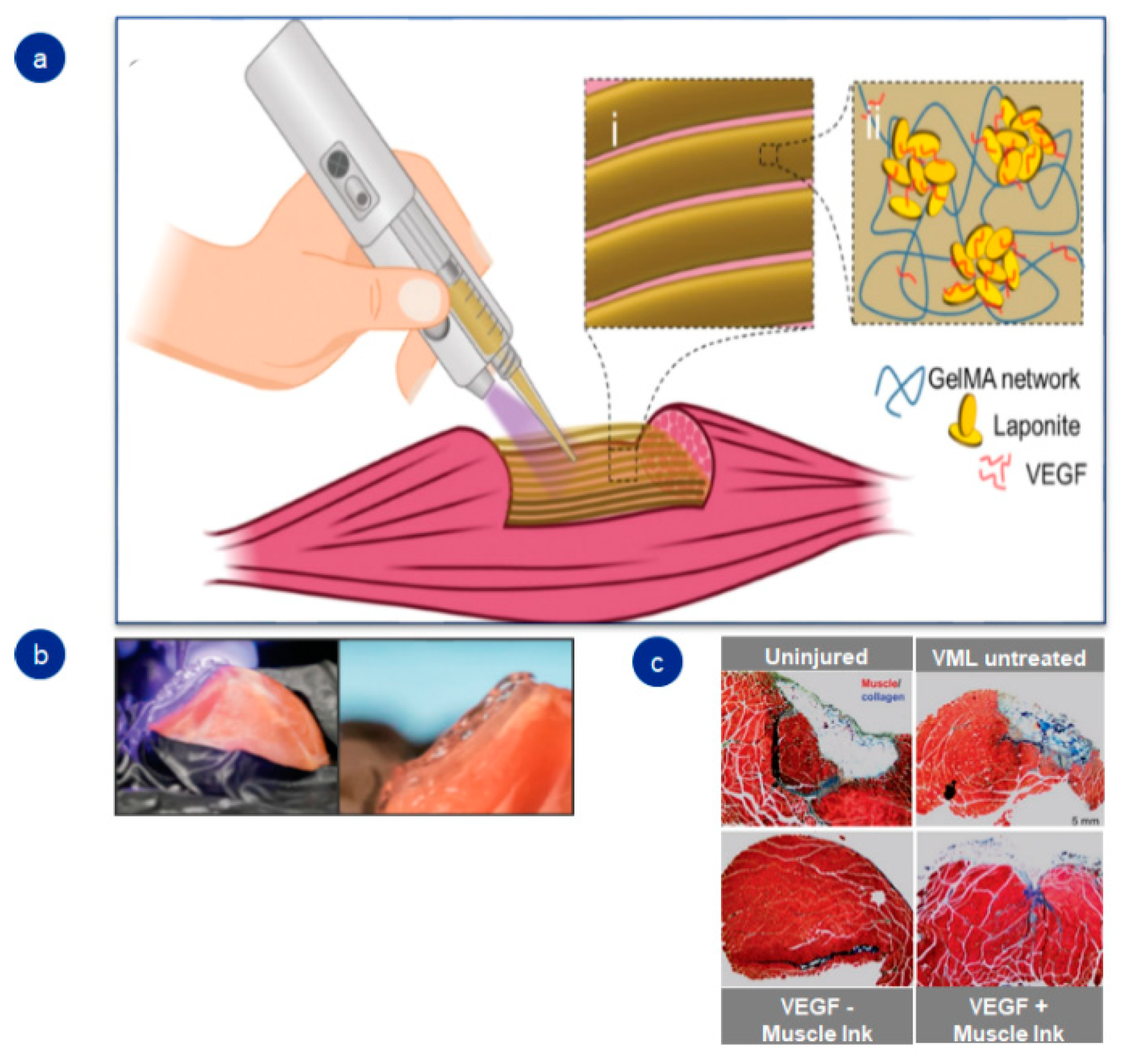 Pharmaceutics 14 01177 g004 550