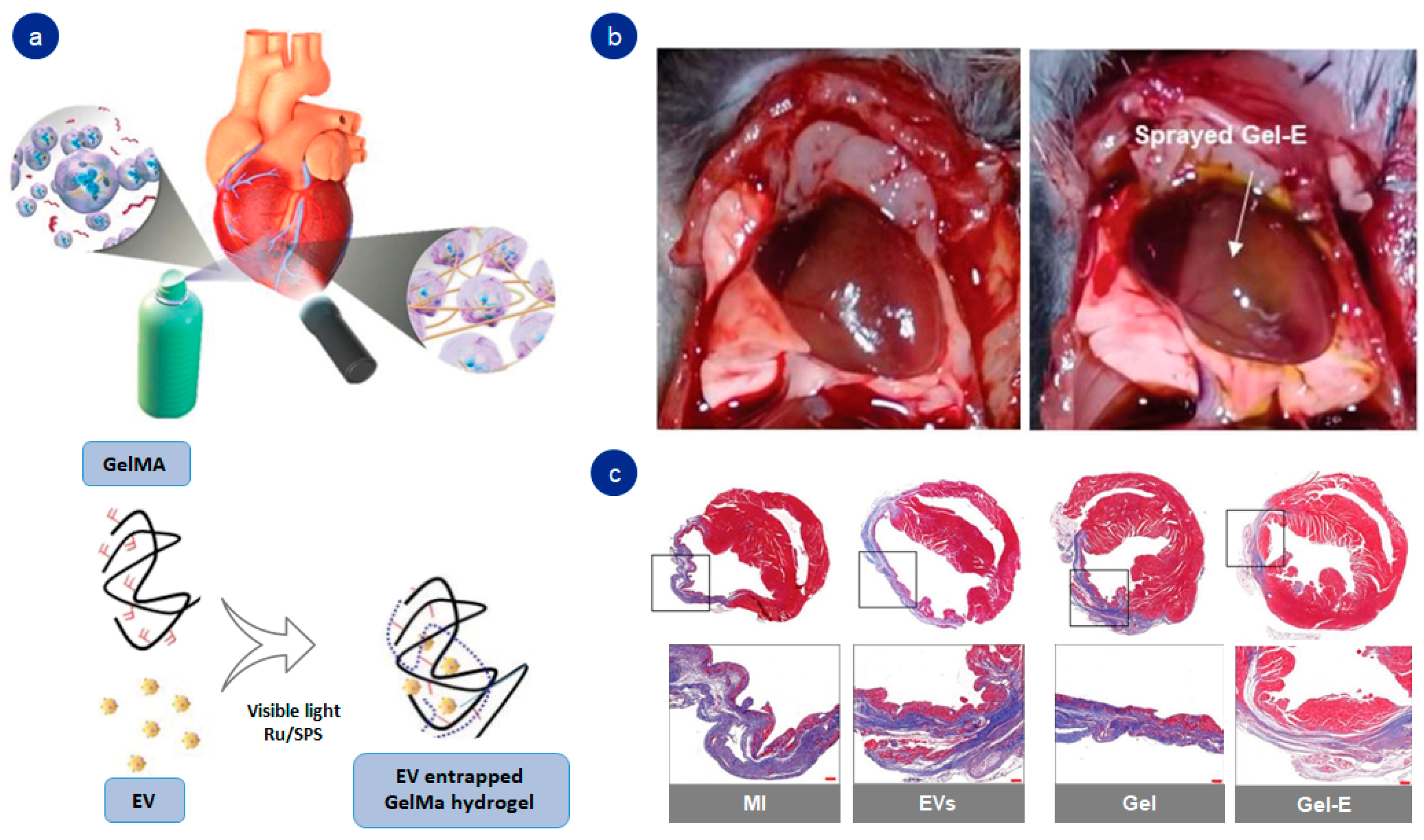 Pharmaceutics 14 01177 g005 550