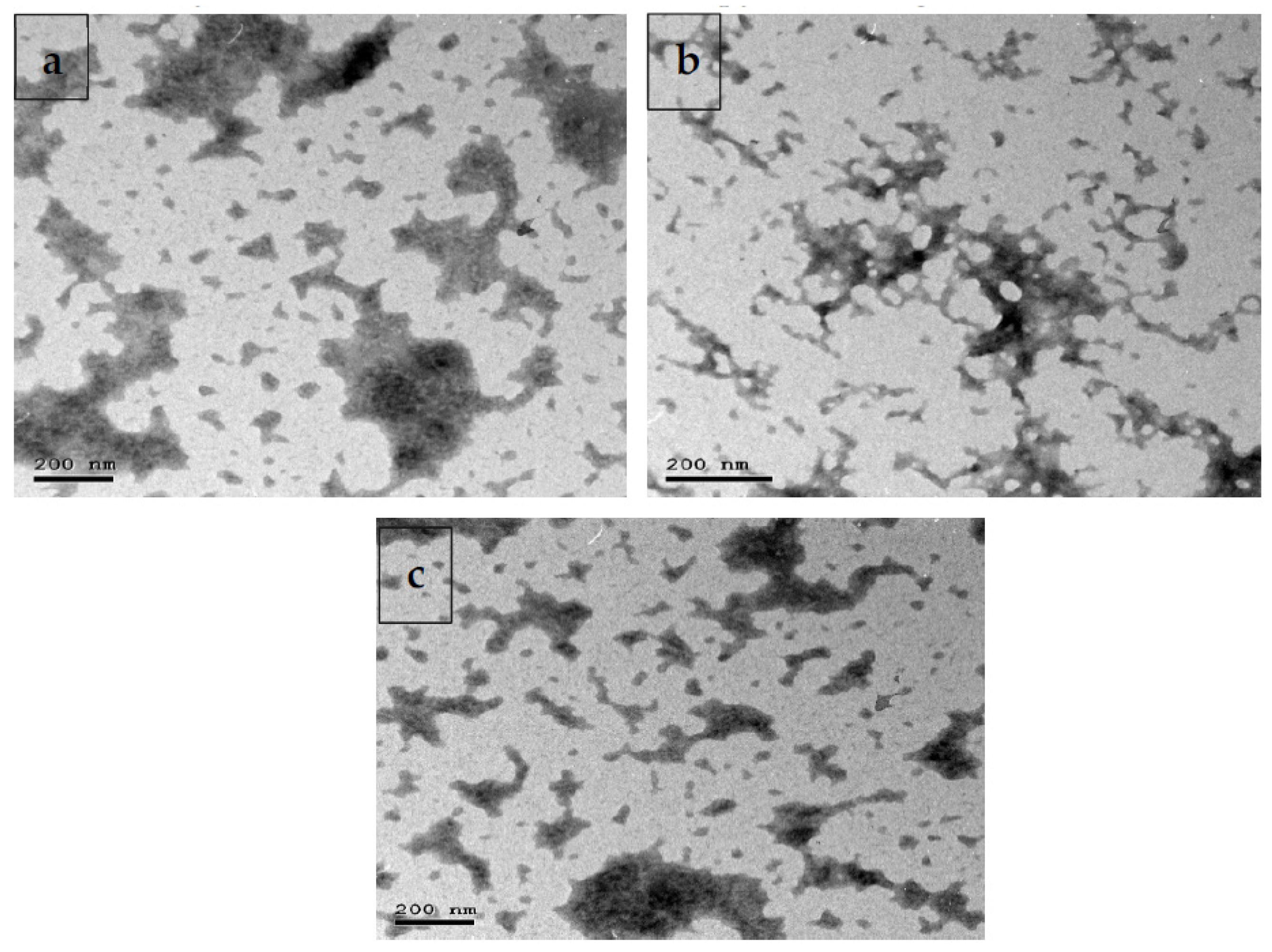 Pharmaceutics 14 01183 g001 Pharmaceutics 14 01183 g001