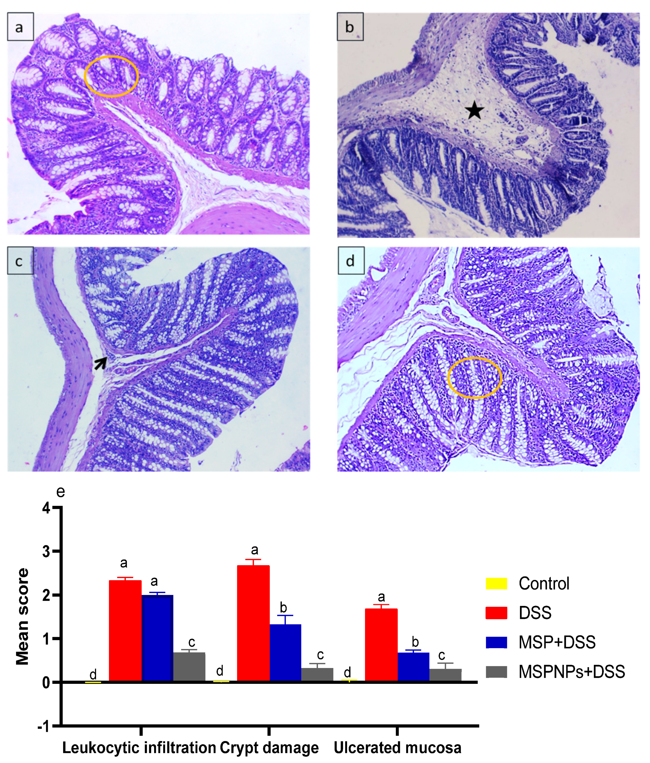 Pharmaceutics 14 01183 g007 Pharmaceutics 14 01183 g007