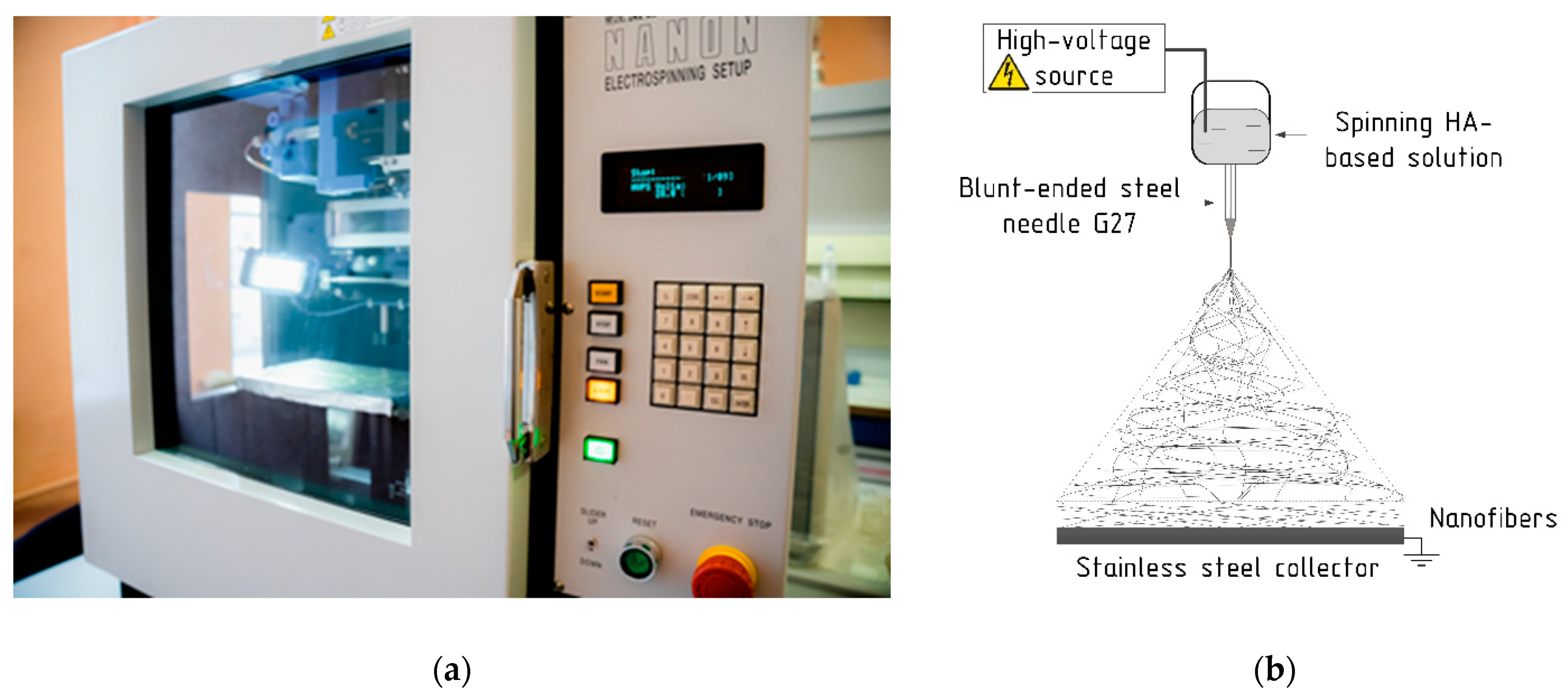Pharmaceutics 14 01186 g002 550