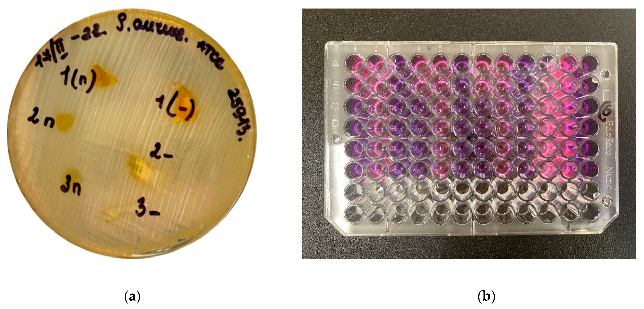 Pharmaceutics 14 01186 g012 550
