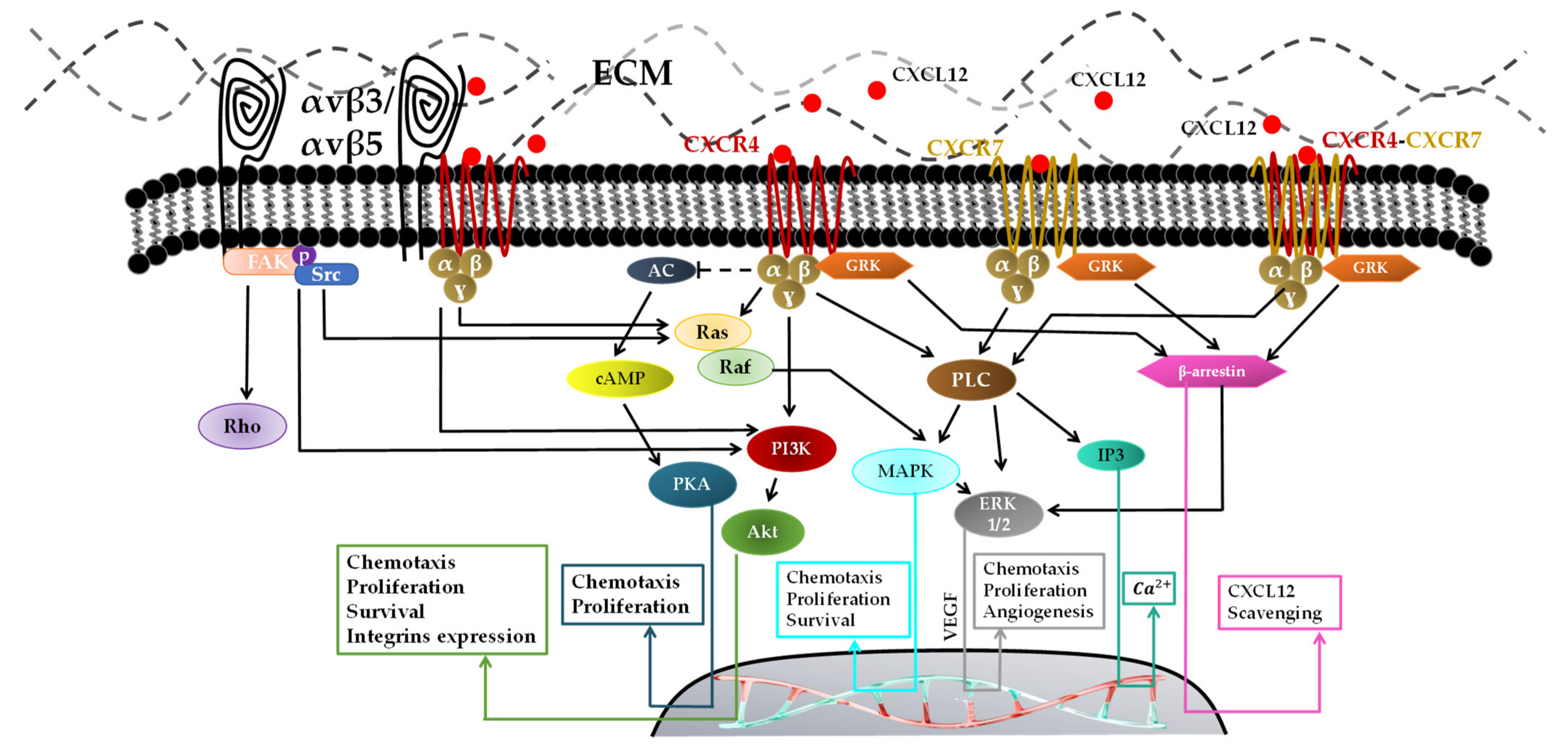 Pharmaceutics 14 01189 g003 Pharmaceutics 14 01189 g003