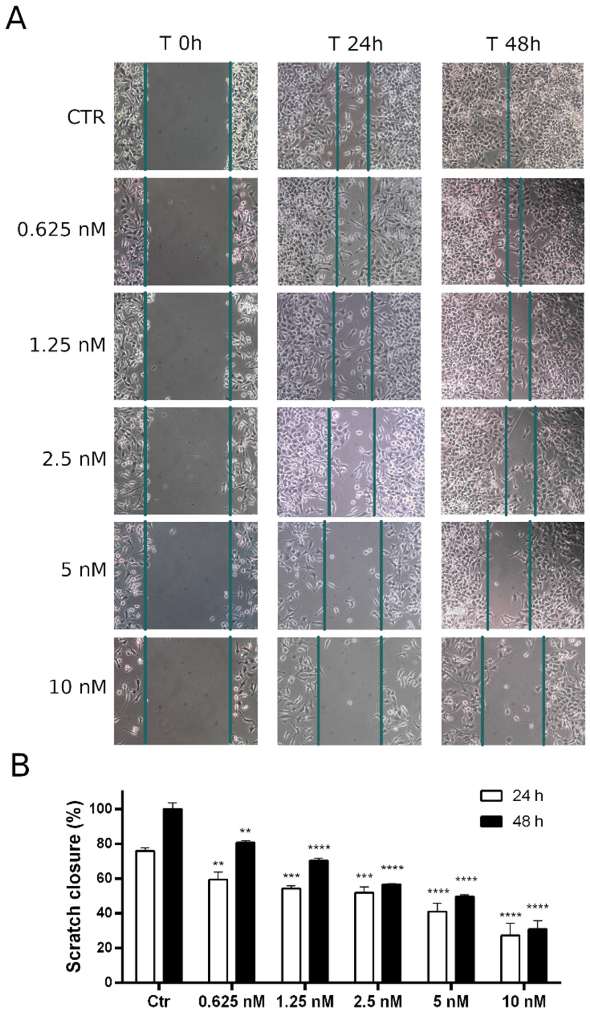 Pharmaceutics 14 01191 g009