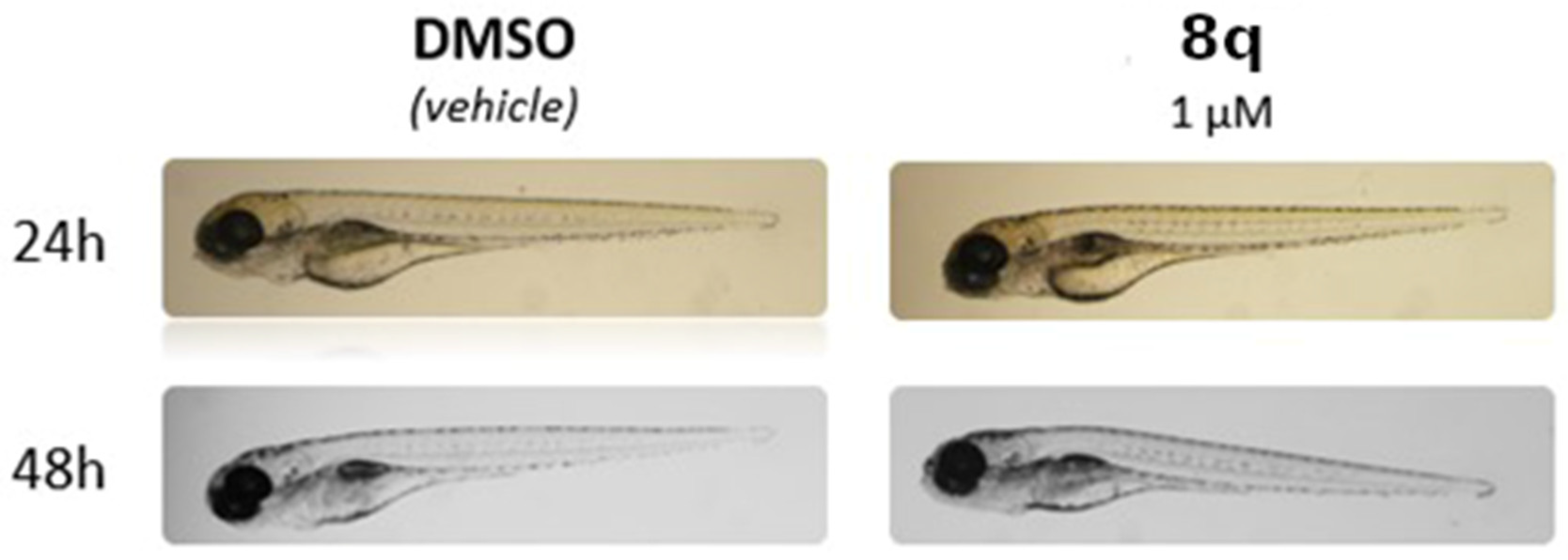 Pharmaceutics 14 01191 g010