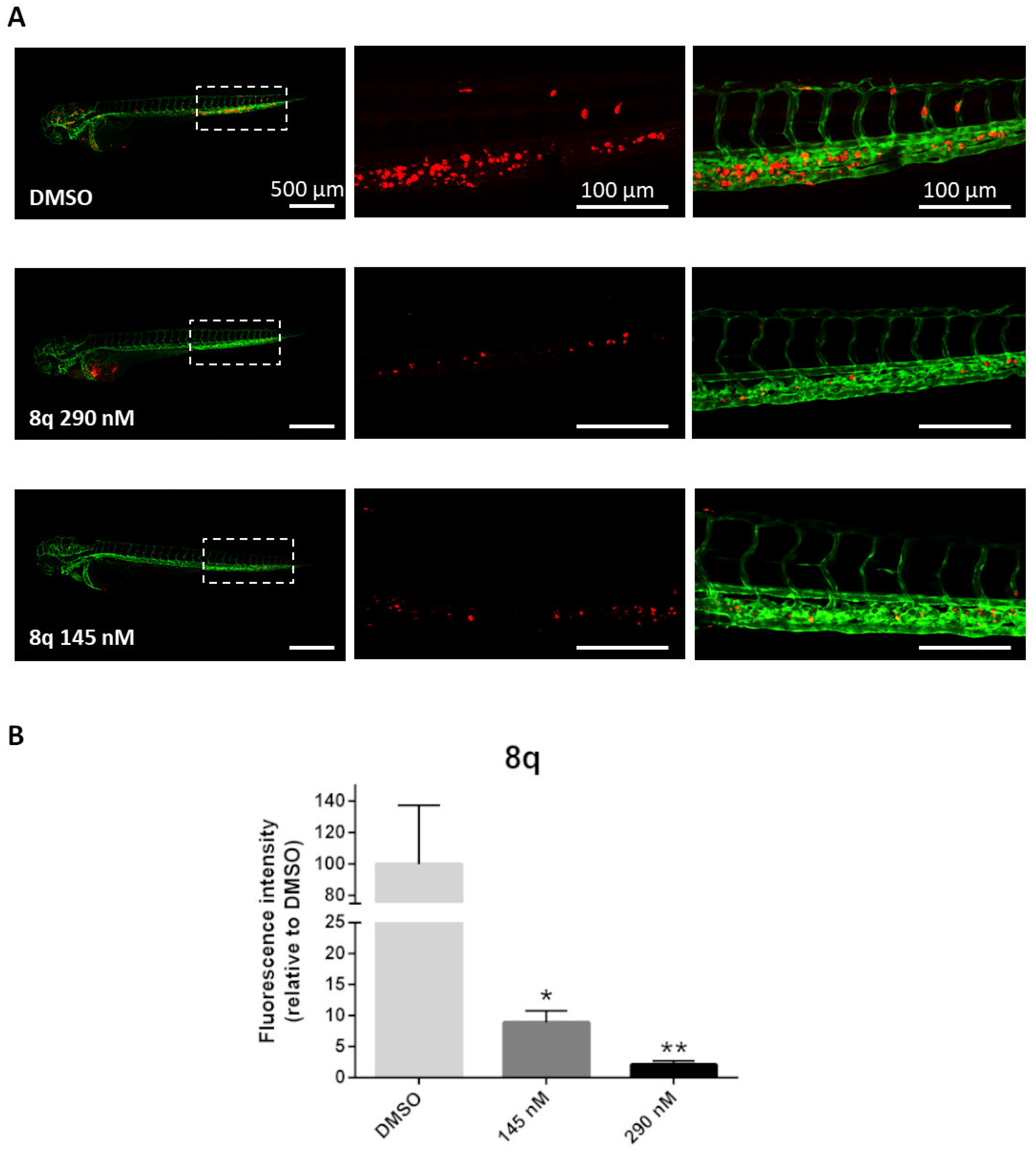 Pharmaceutics 14 01191 g011
