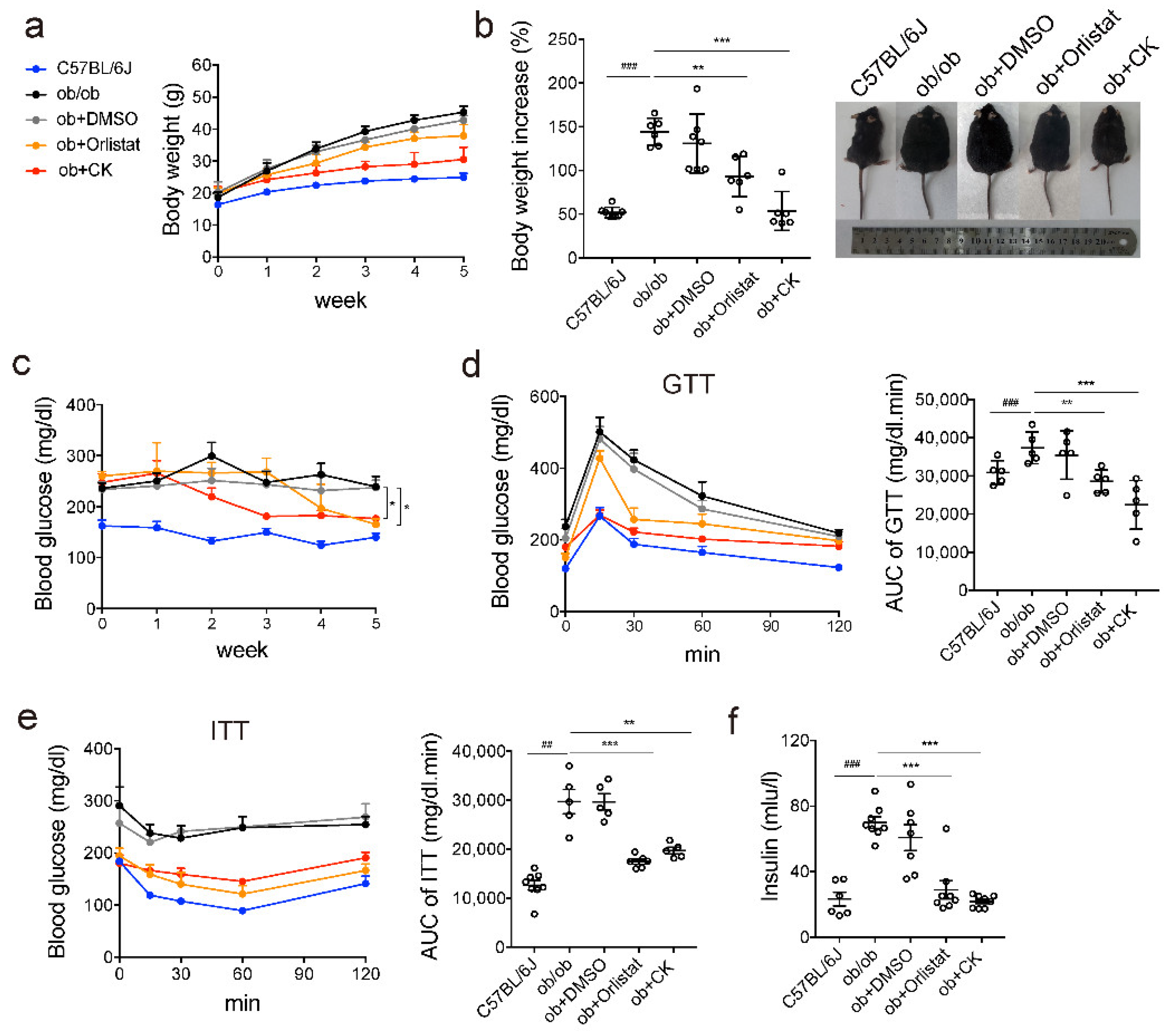 Pharmaceutics 14 01192 g001