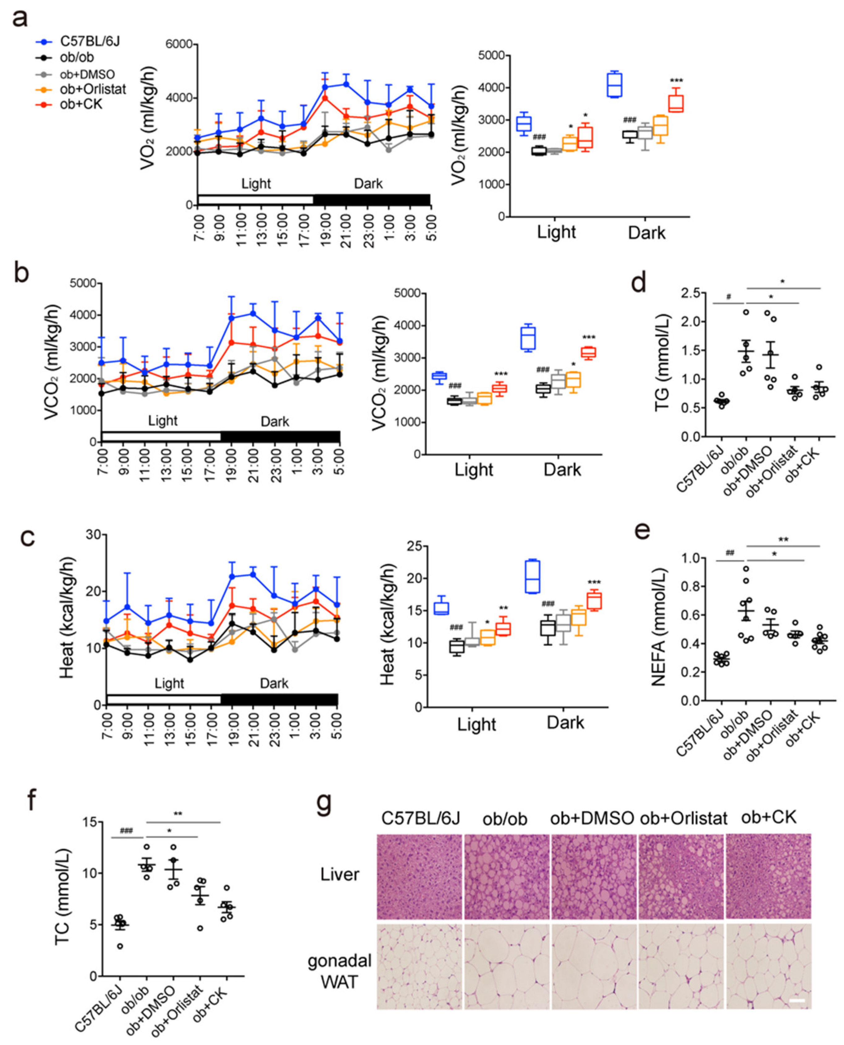 Pharmaceutics 14 01192 g002