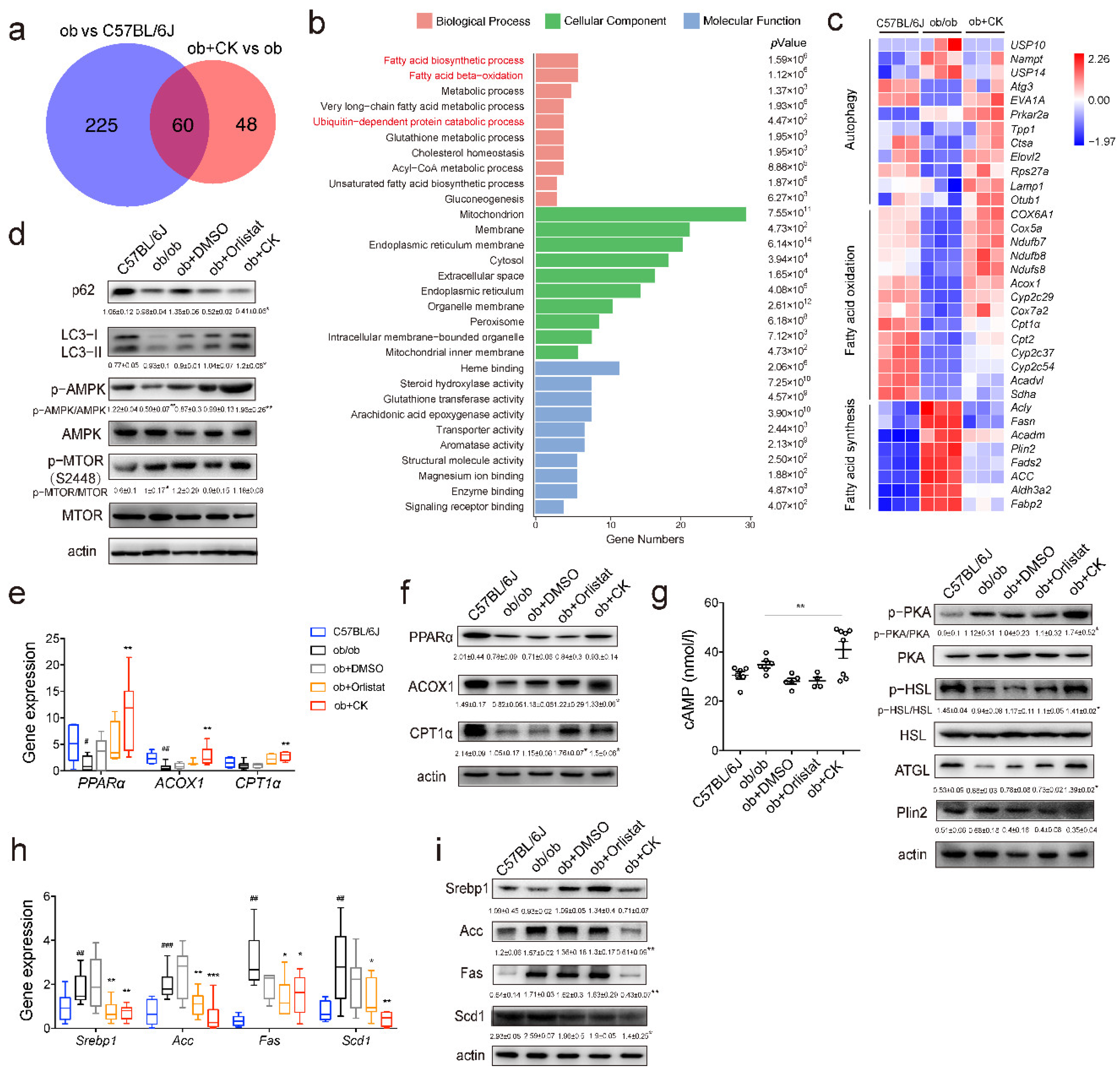 Pharmaceutics 14 01192 g003